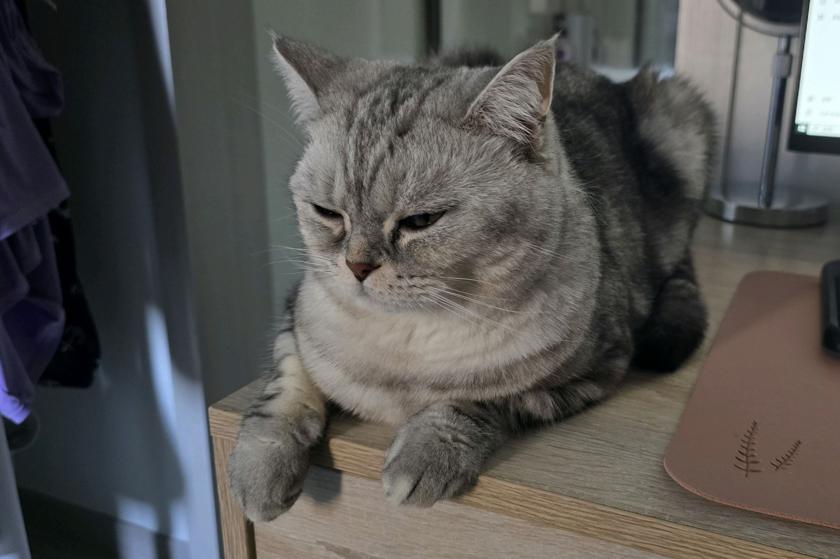 알프스동물병원 사진 5