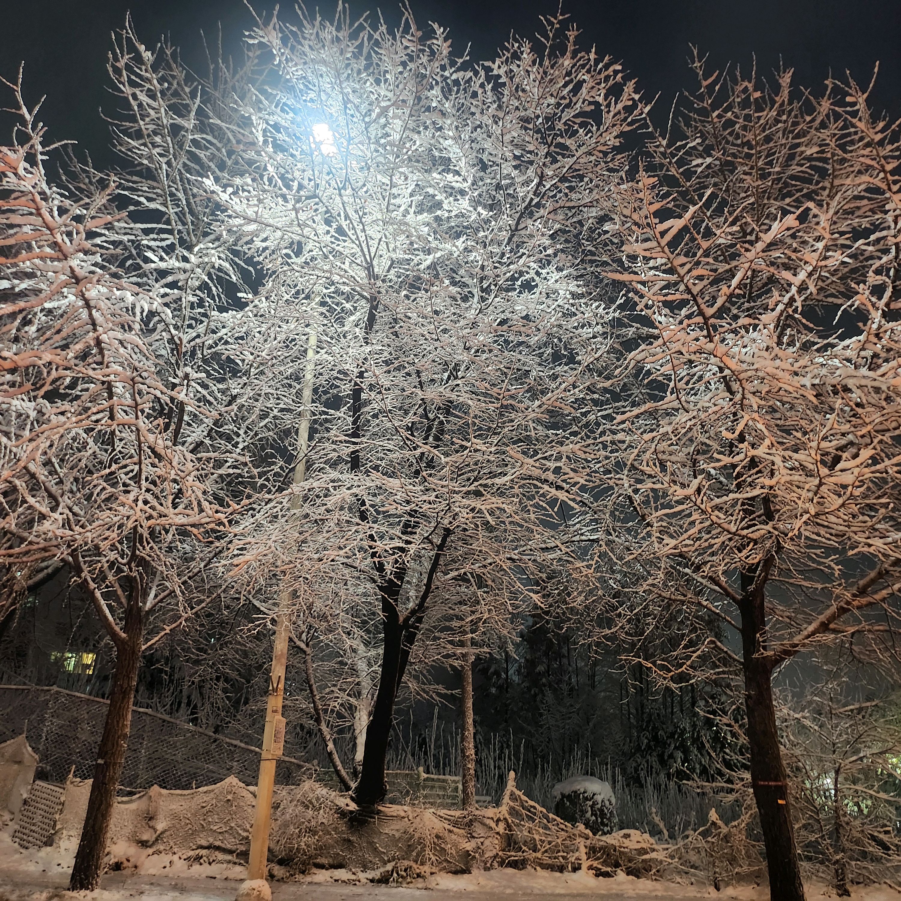 추운날엔 따끈한 쌀국수에 고수넣어 먹으면 속부터 따뜻해지네요~~미분당 쌀국수 자극적이지 않