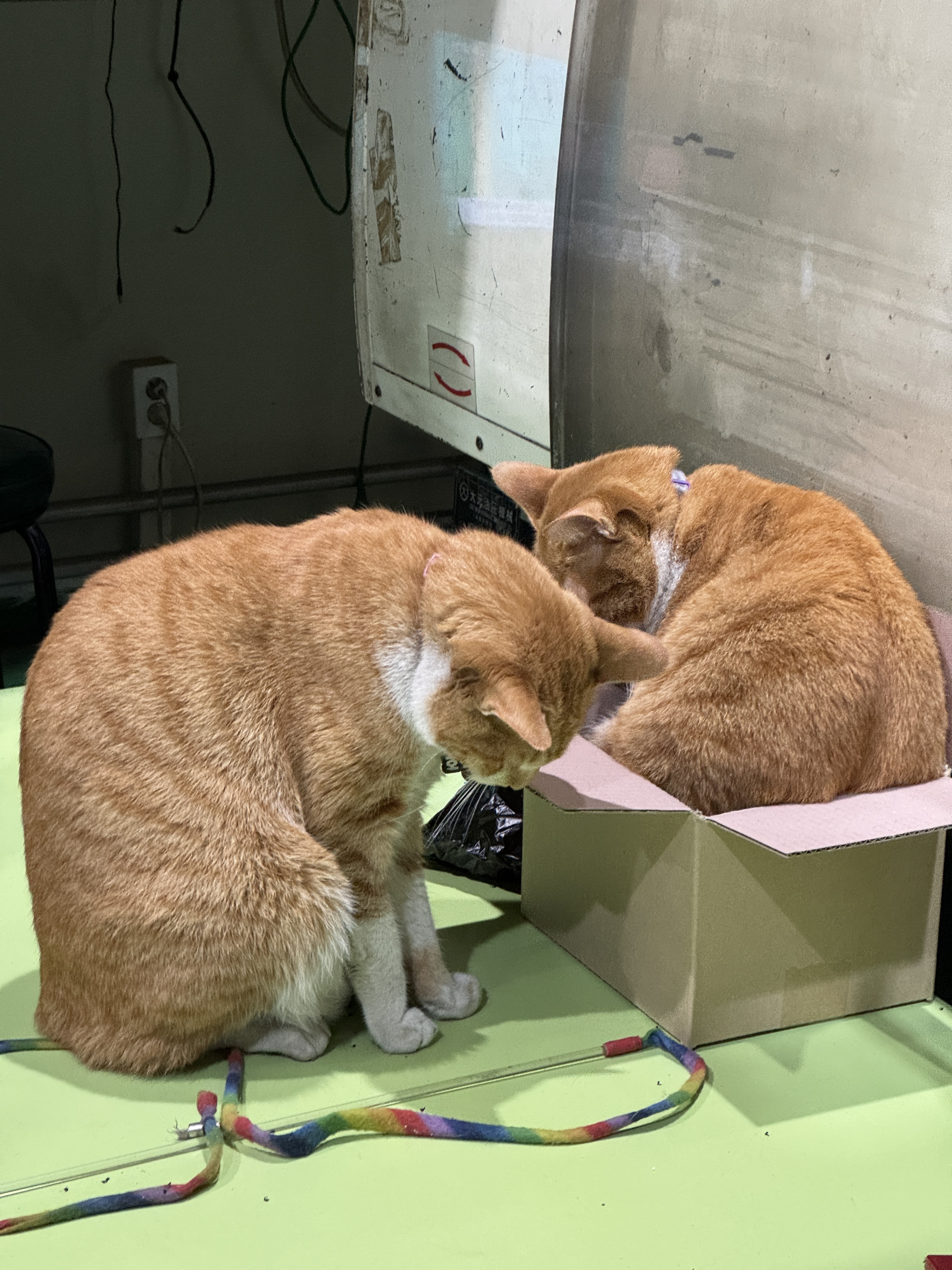 현대가축병원 사진 2
