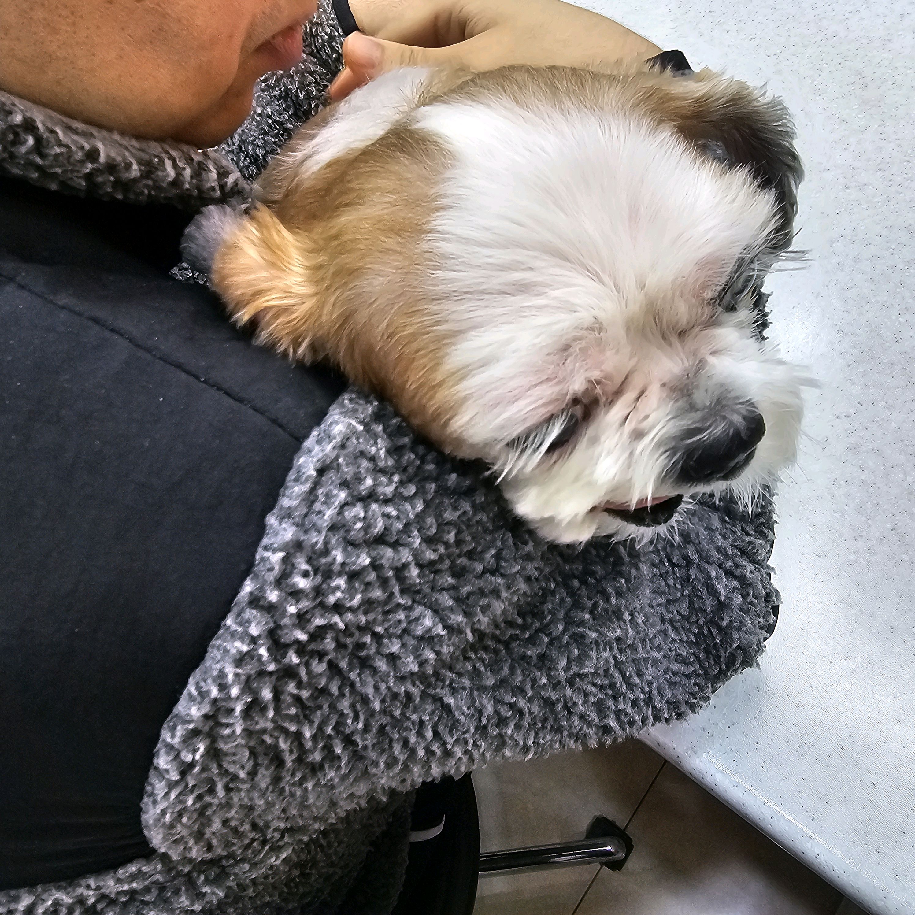 신창동물병원 사진 2