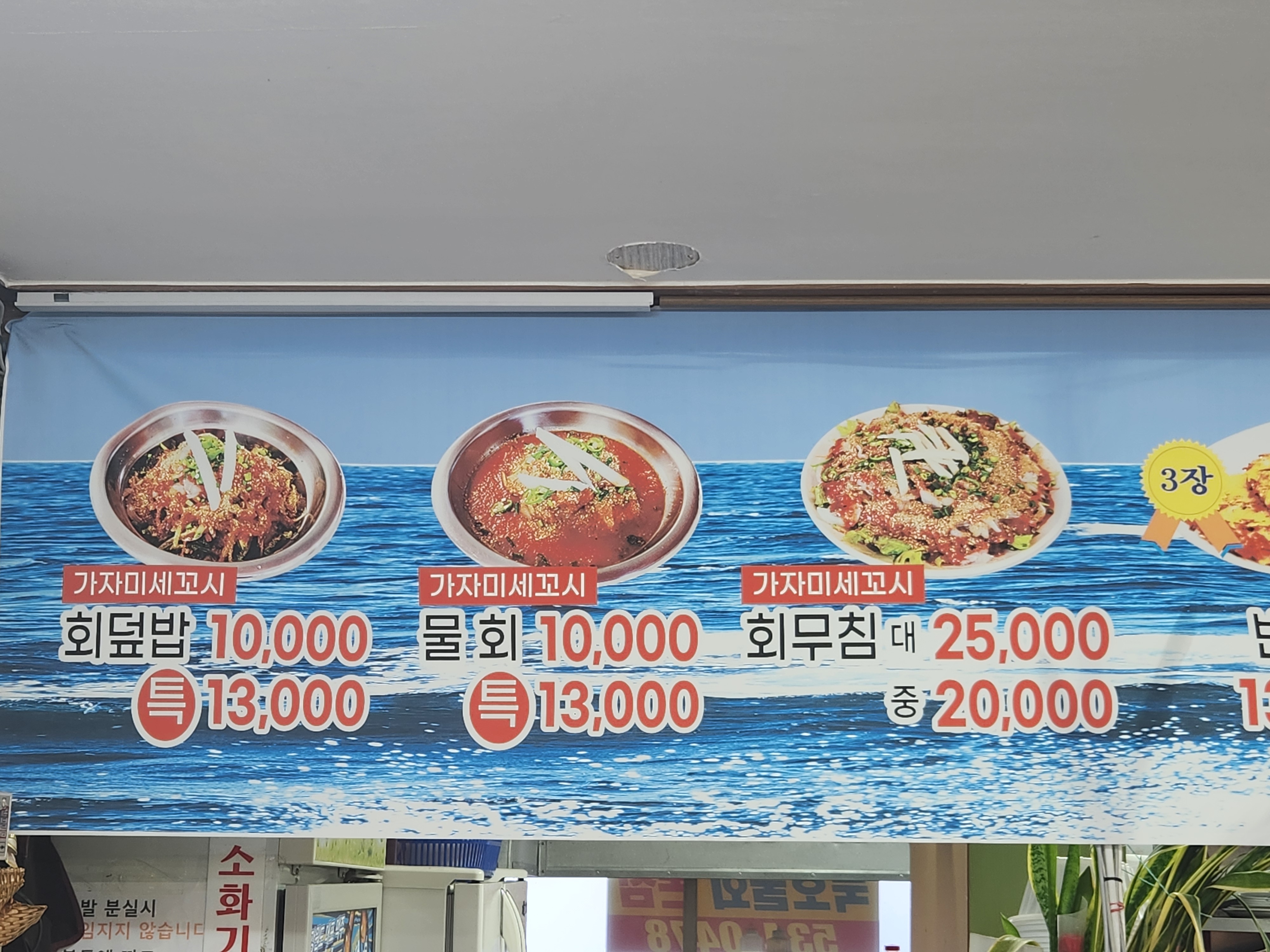 [동해 맛집 묵호물회] 직접 가본 로컬 리뷰