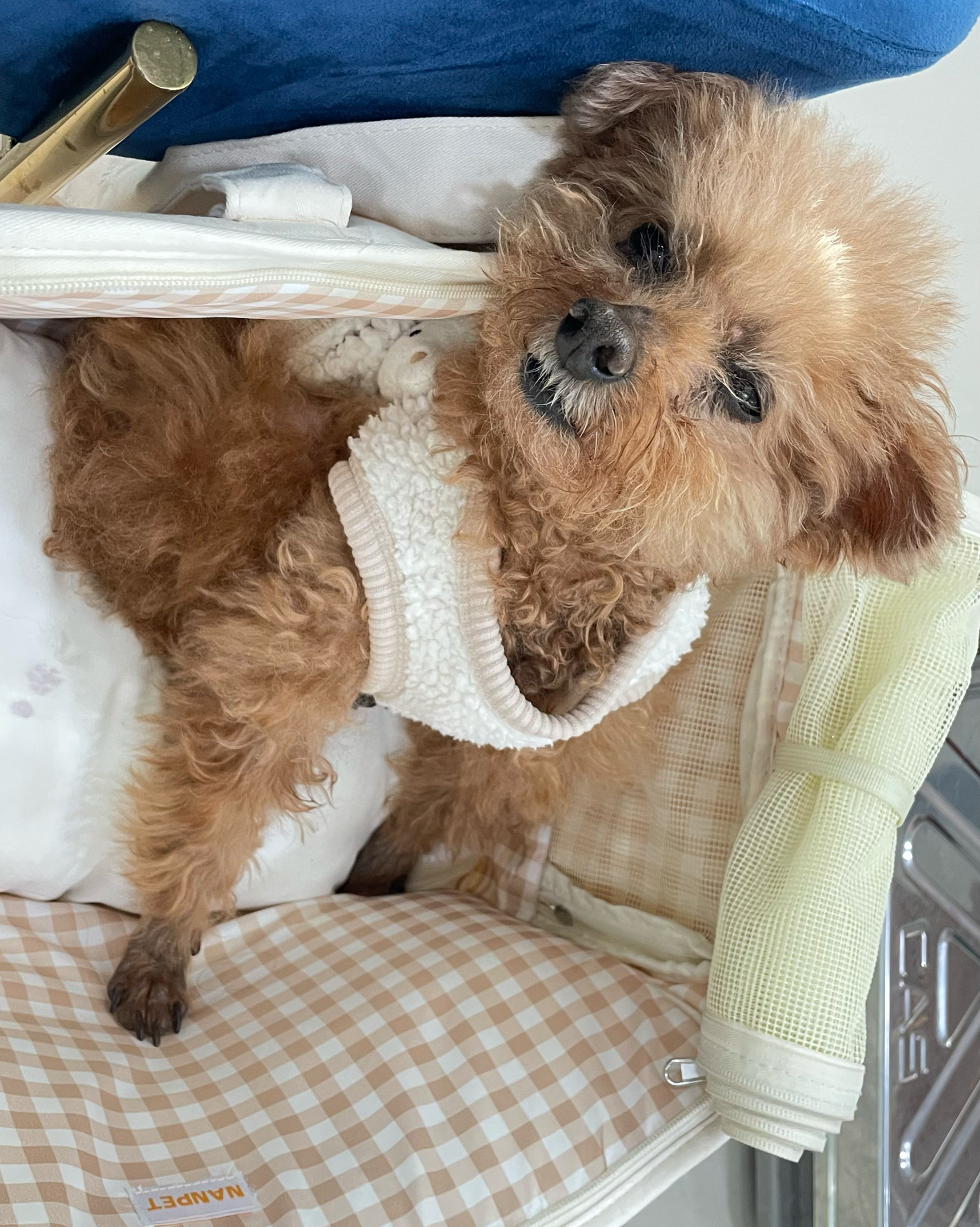 리뷰 사진 1