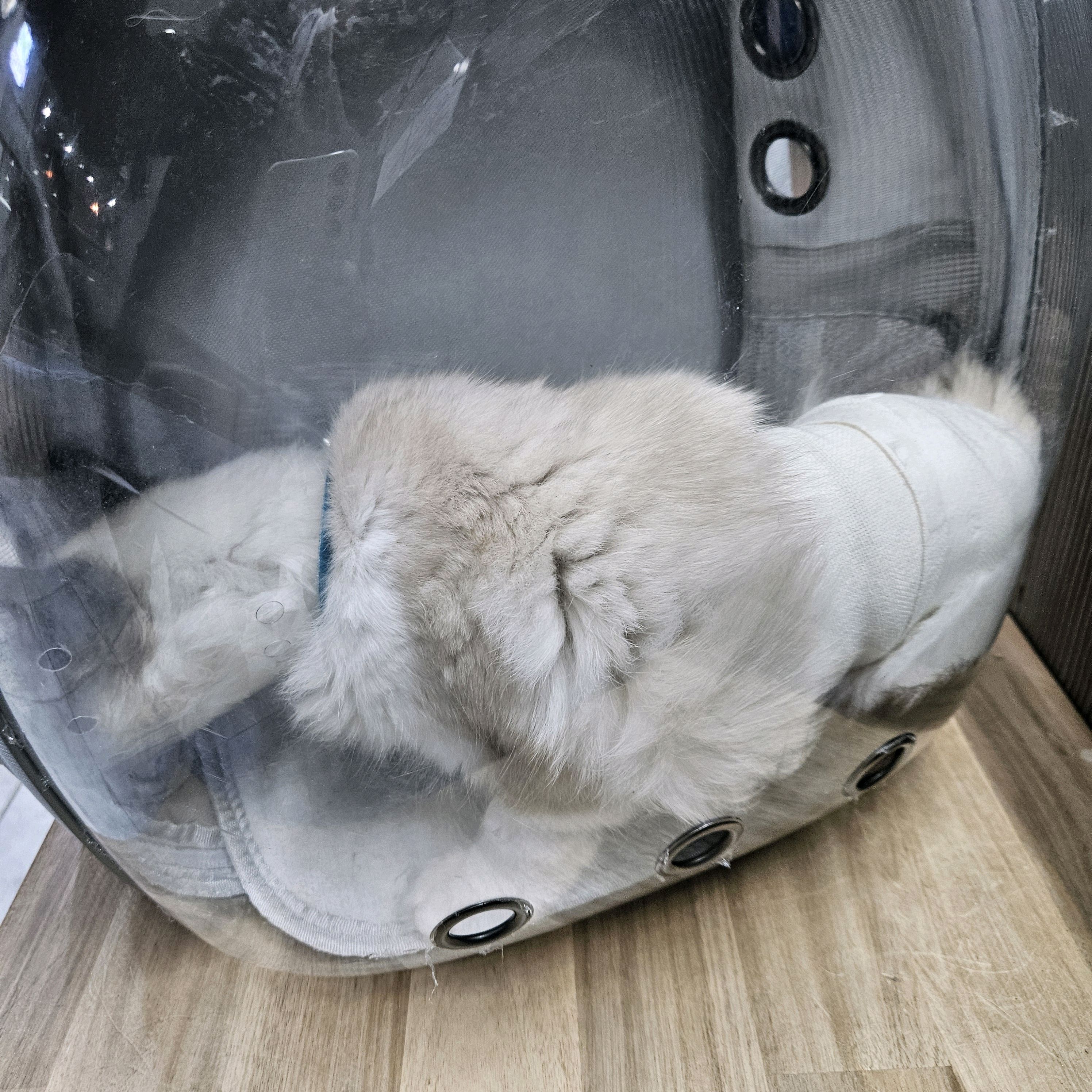 리뷰 사진 1