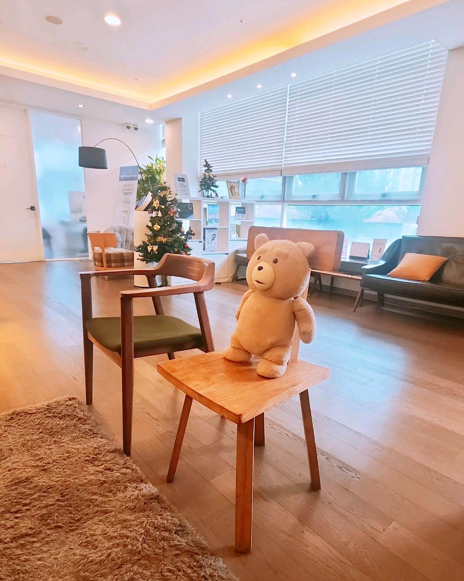 별의원
