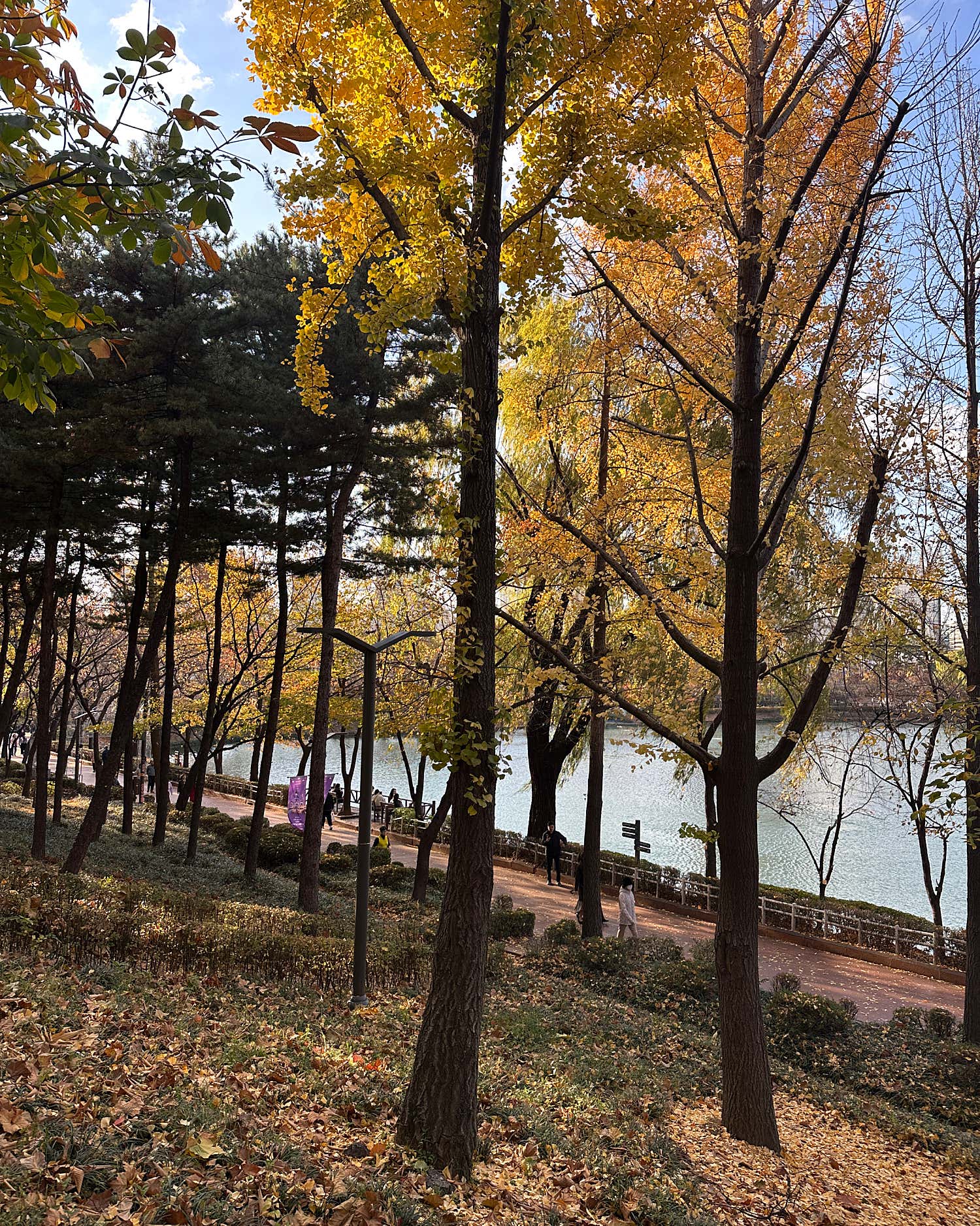 이광수신경과의원