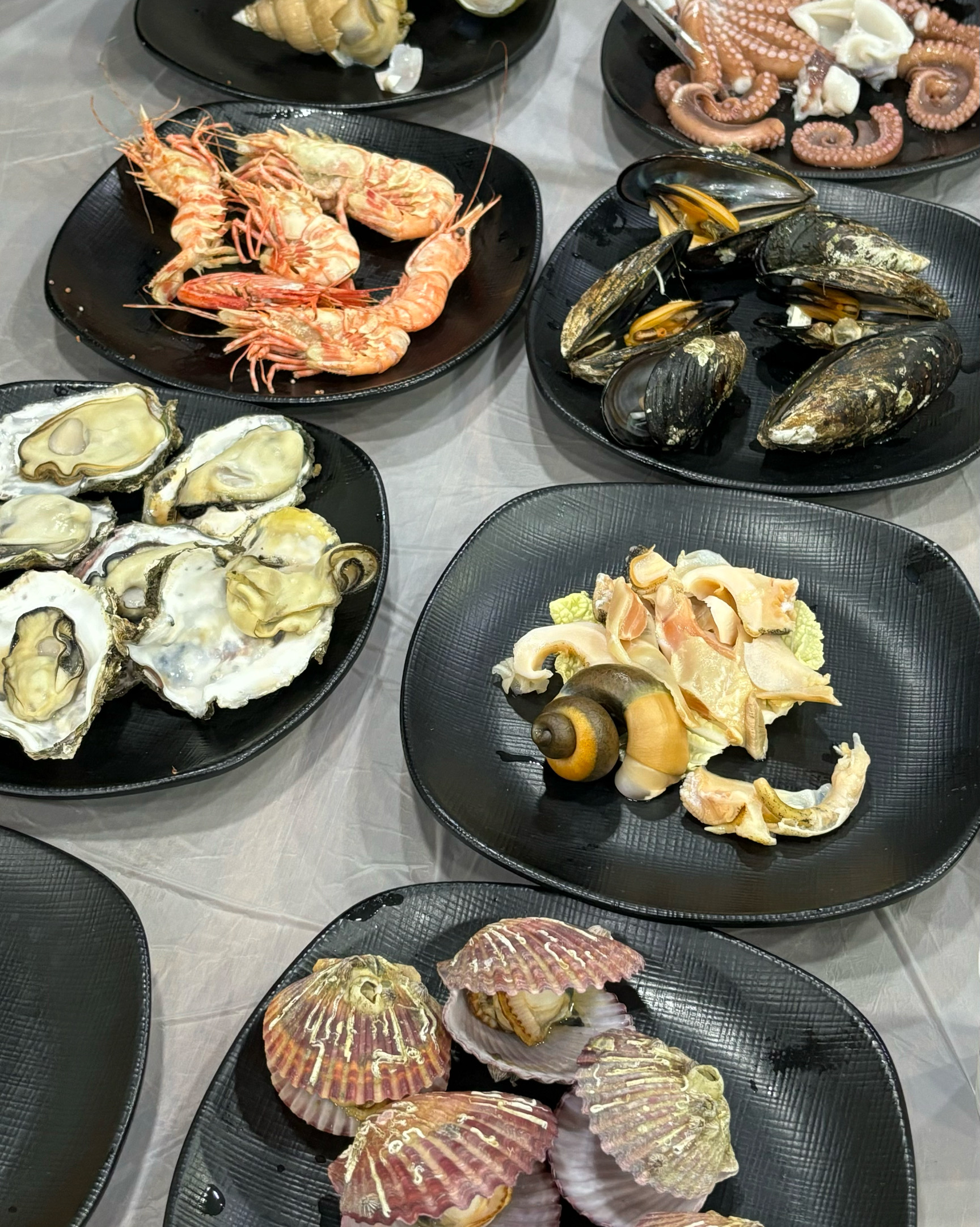 [삼척 맛집 대진식당] 직접 가본 로컬 리뷰