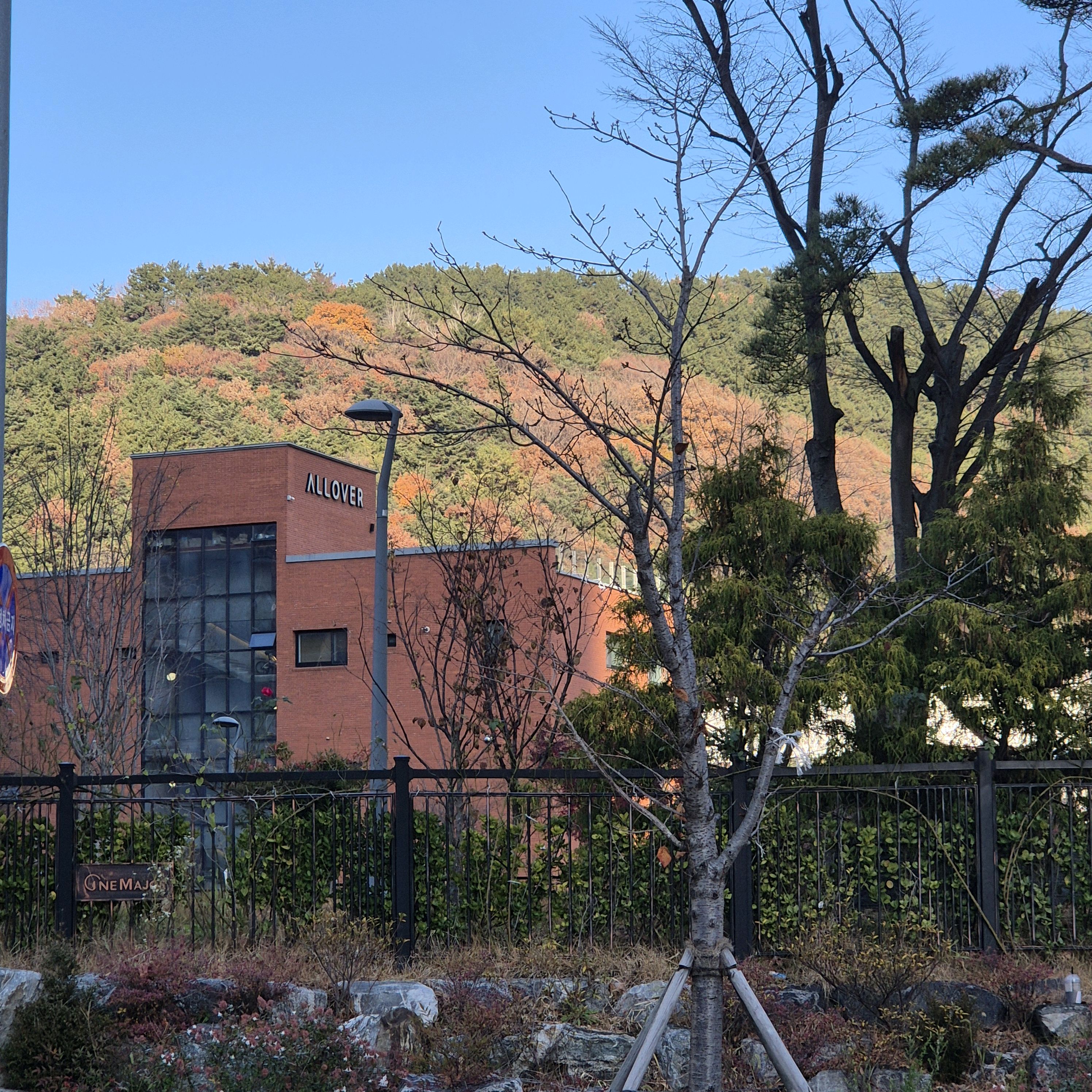 [김해 맛집 올오버 베이커리&커피] 직접 가본 로컬 리뷰