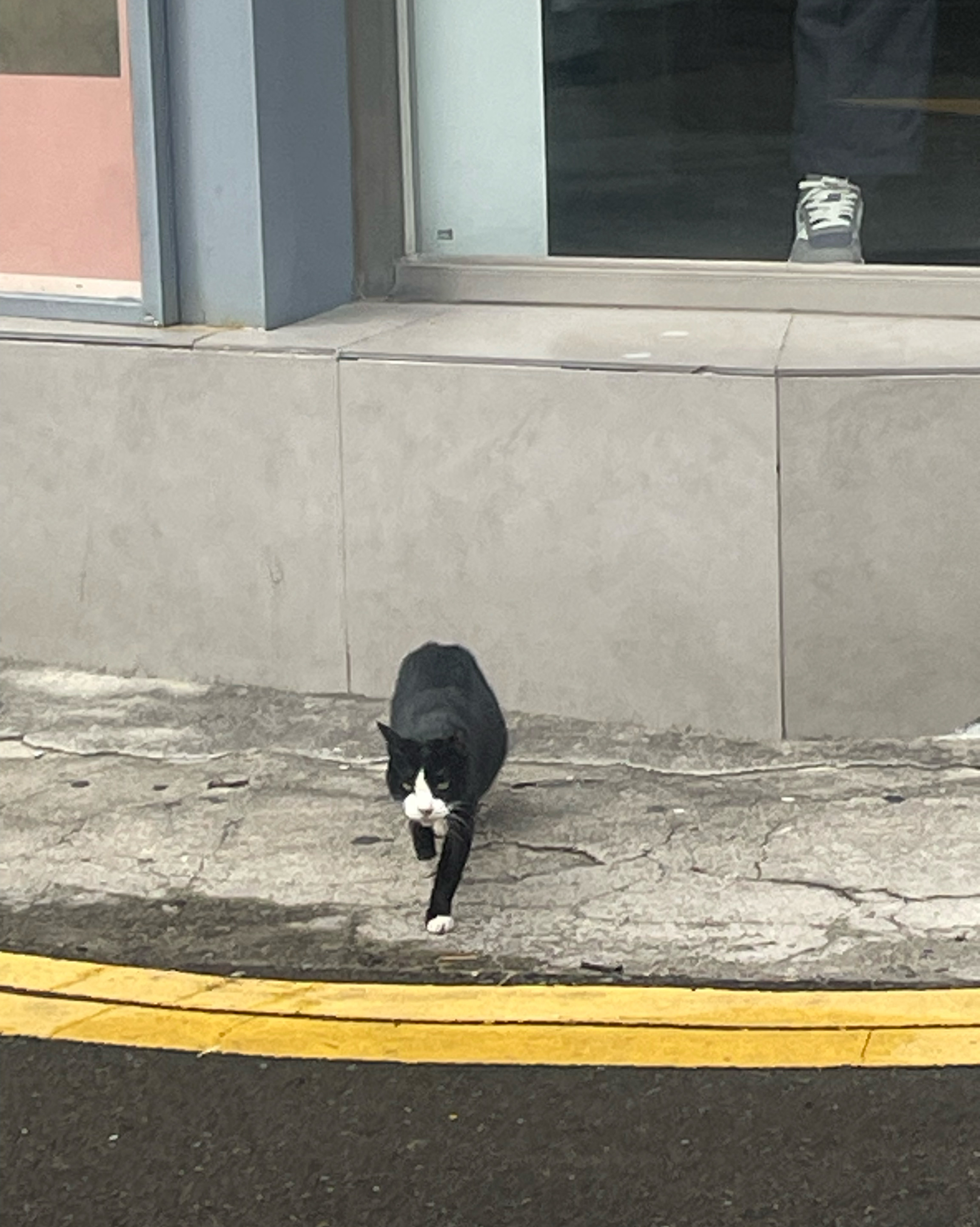 [여수 맛집 흐쎄트] 직접 가본 로컬 리뷰