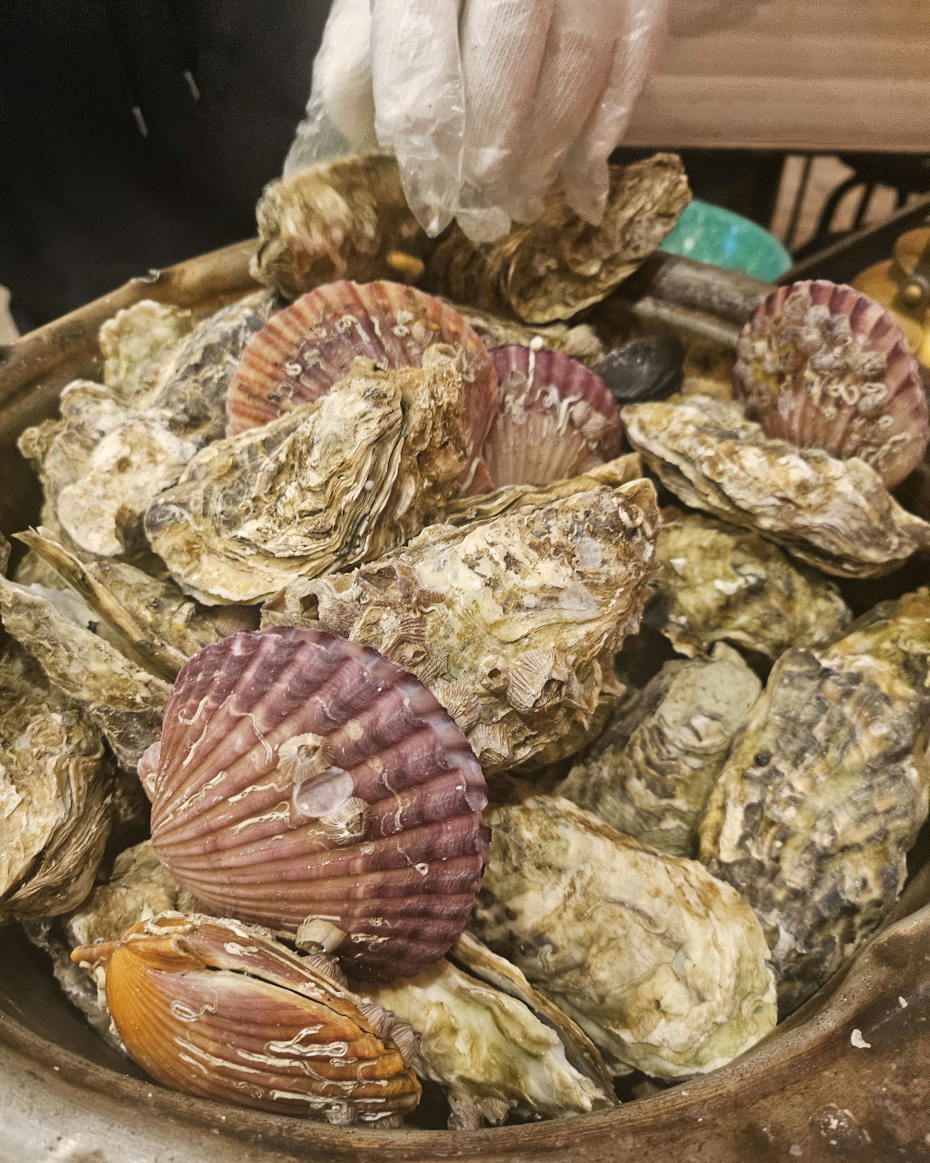 [강릉 맛집 송여사 숯불 왕꼼장어 강릉본점] 직접 가본 로컬 리뷰