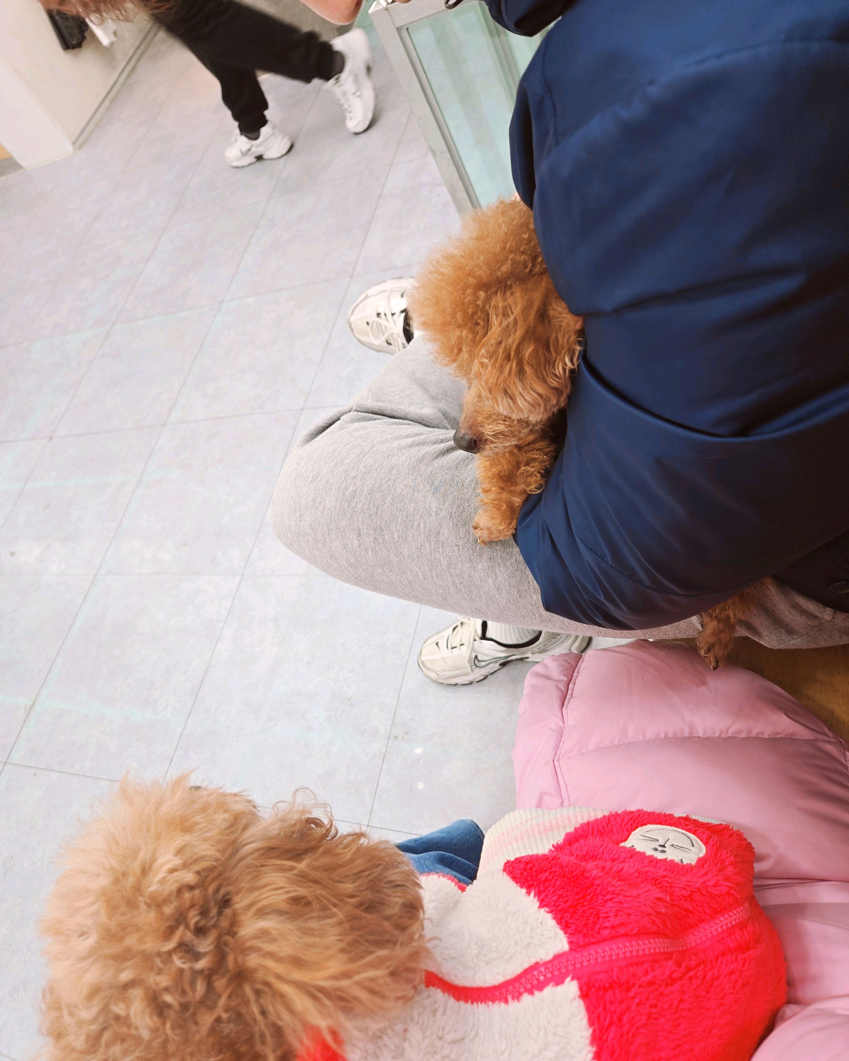 리뷰 사진 4