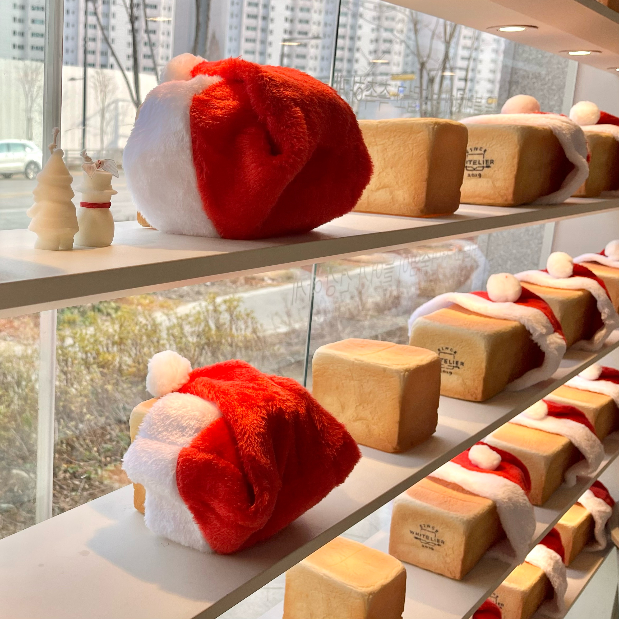 식빵계 에르메스라 불리는 이유가 있는 생식빵 맛집! - 경기 광주 맛집 화이트리에 경기광주점
