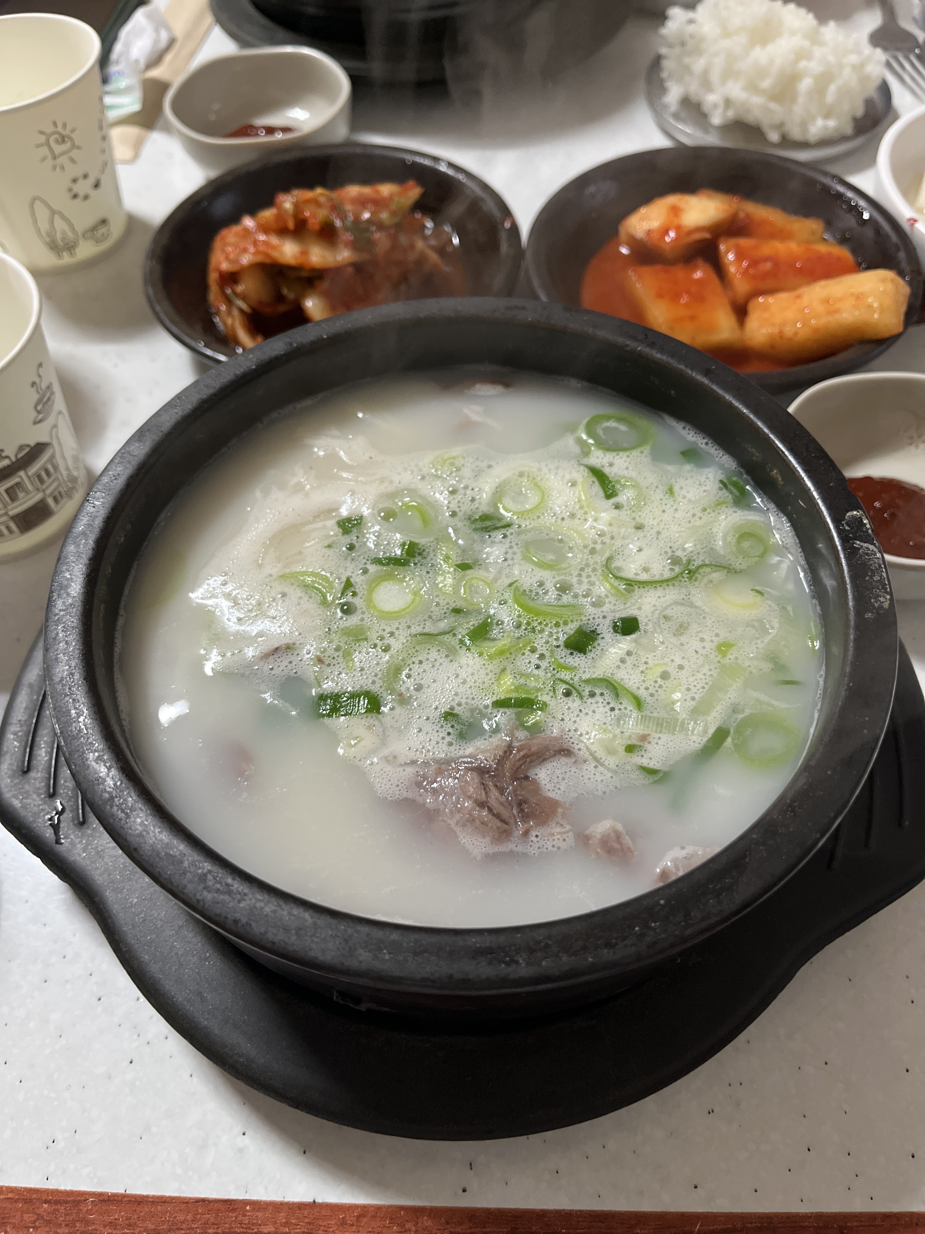 [하이원 맛집 함흥평양냉면] 직접 가본 로컬 리뷰