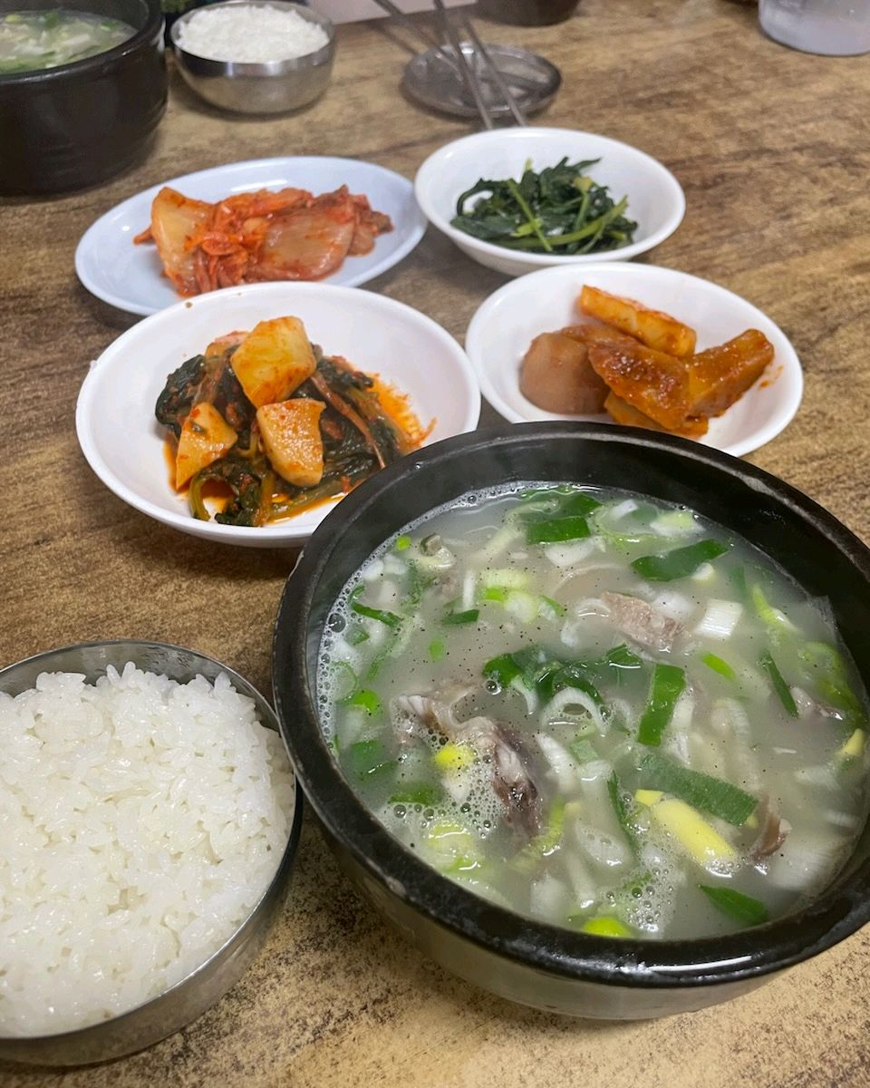 [강릉 맛집 철뚝소머리집] 직접 가본 로컬 리뷰