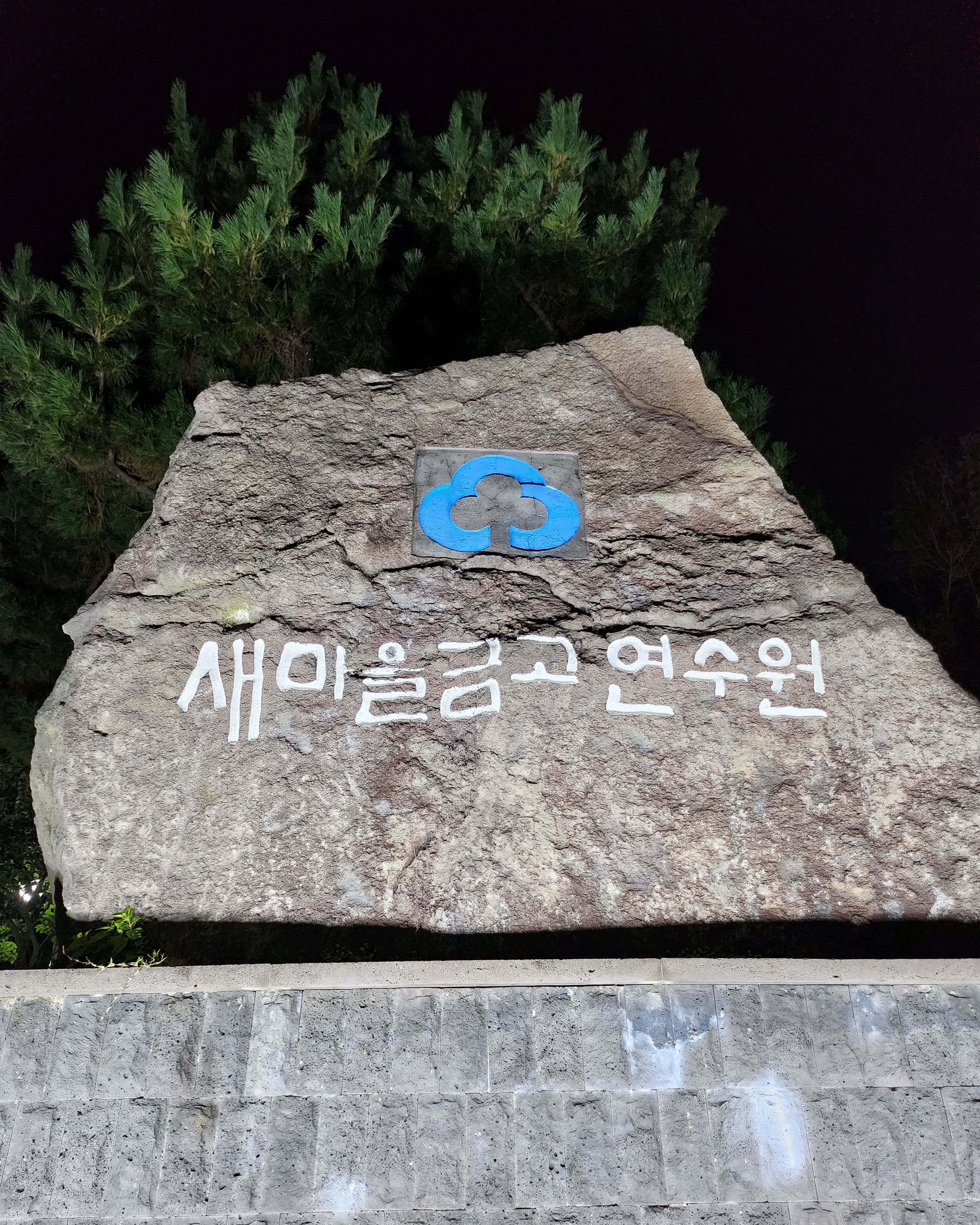 [애월 맛집 돈꿀꺽 애월 본점] 직접 가본 로컬 리뷰