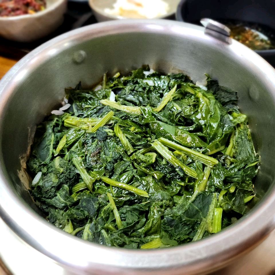 [하이원 맛집 메밀촌막국수] 직접 가본 로컬 리뷰