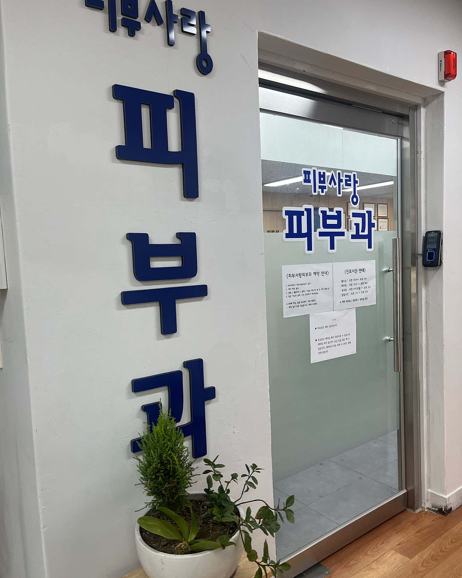 피부사랑피부과의원 마포