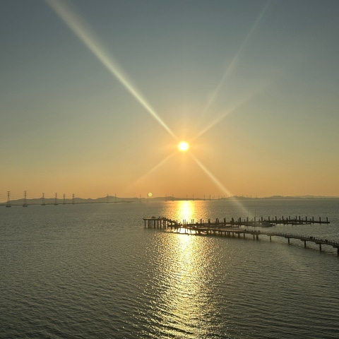 IMG_1408.jpeg?type=f480_480_q95