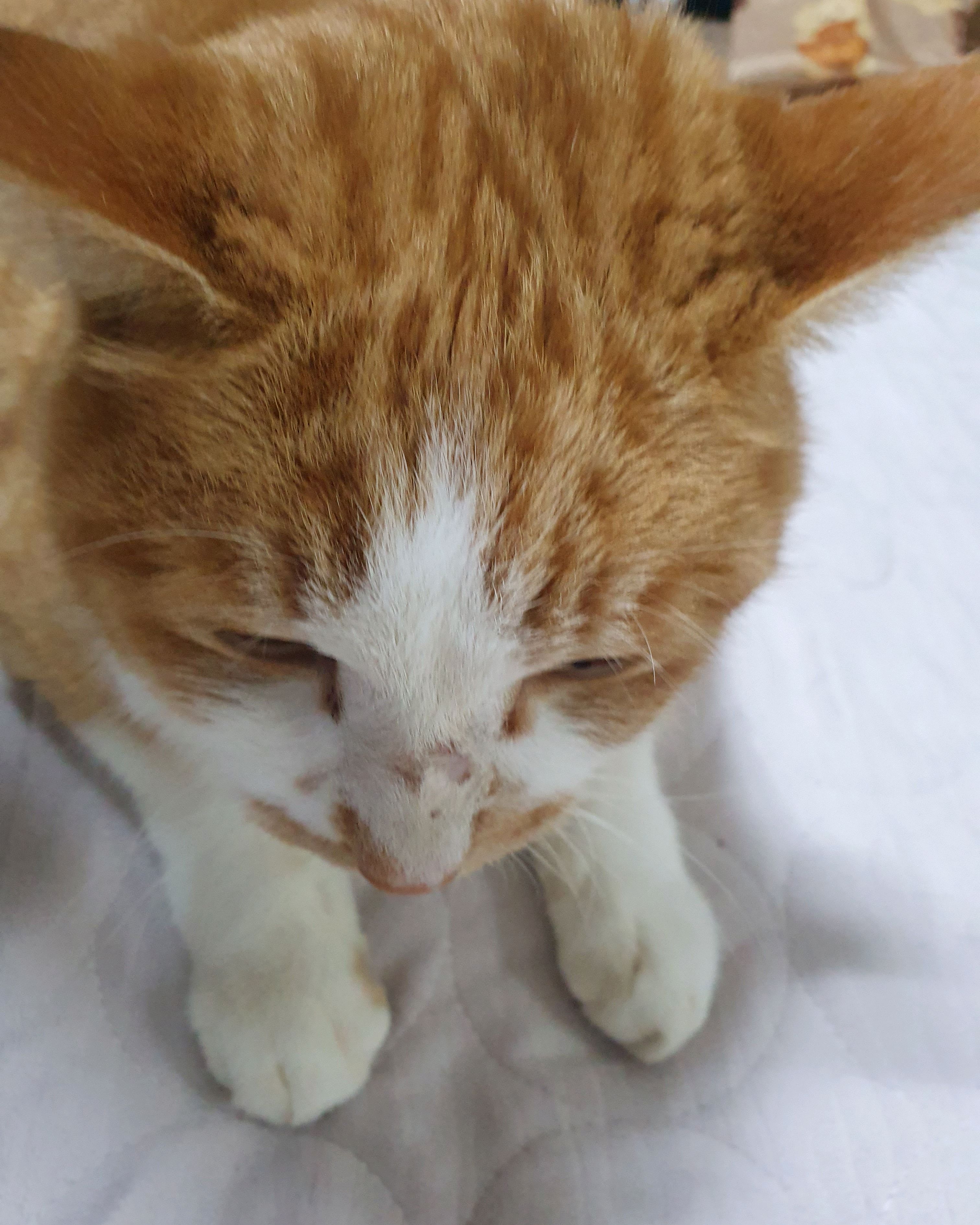 리뷰 사진 1