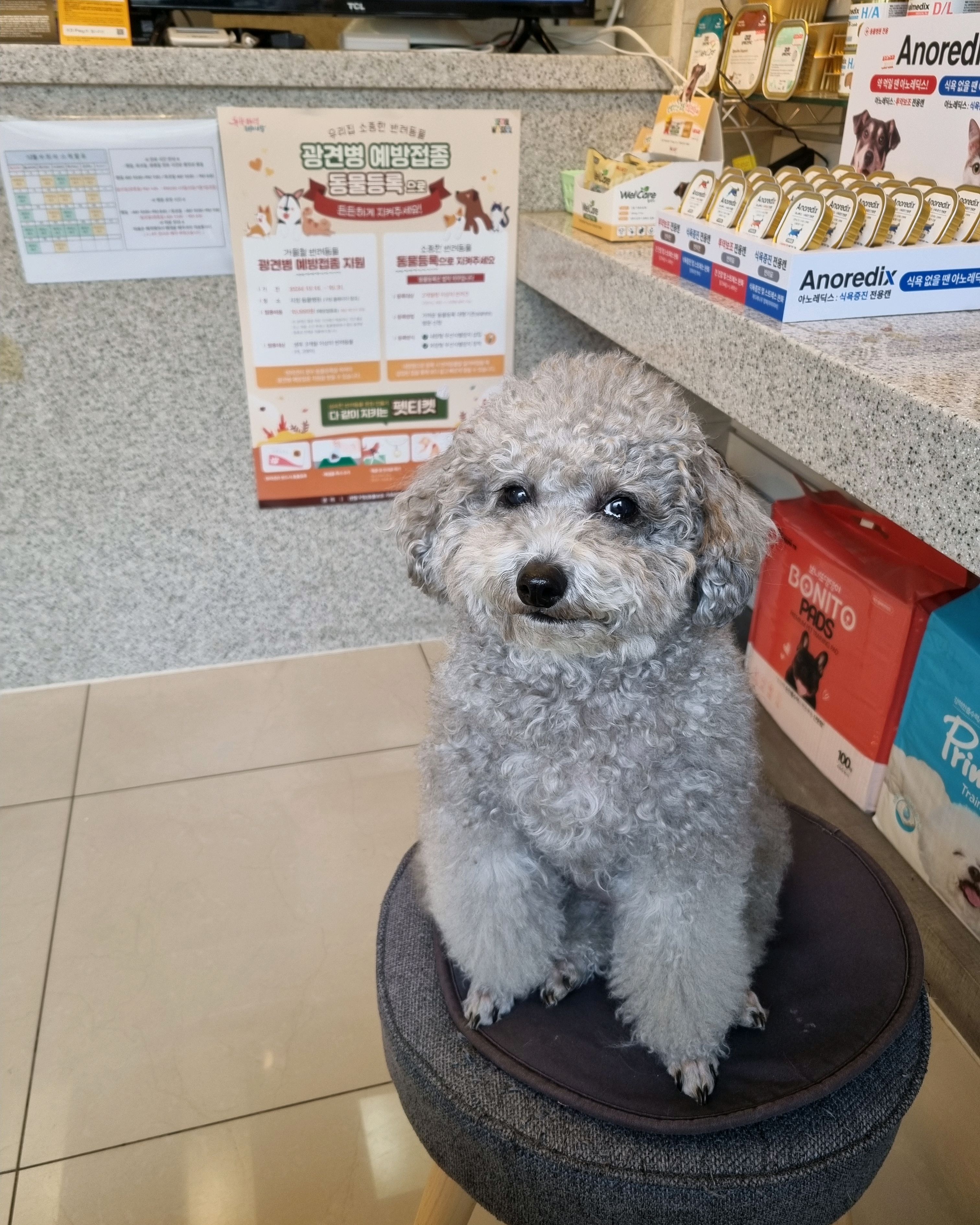 리뷰 사진 1
