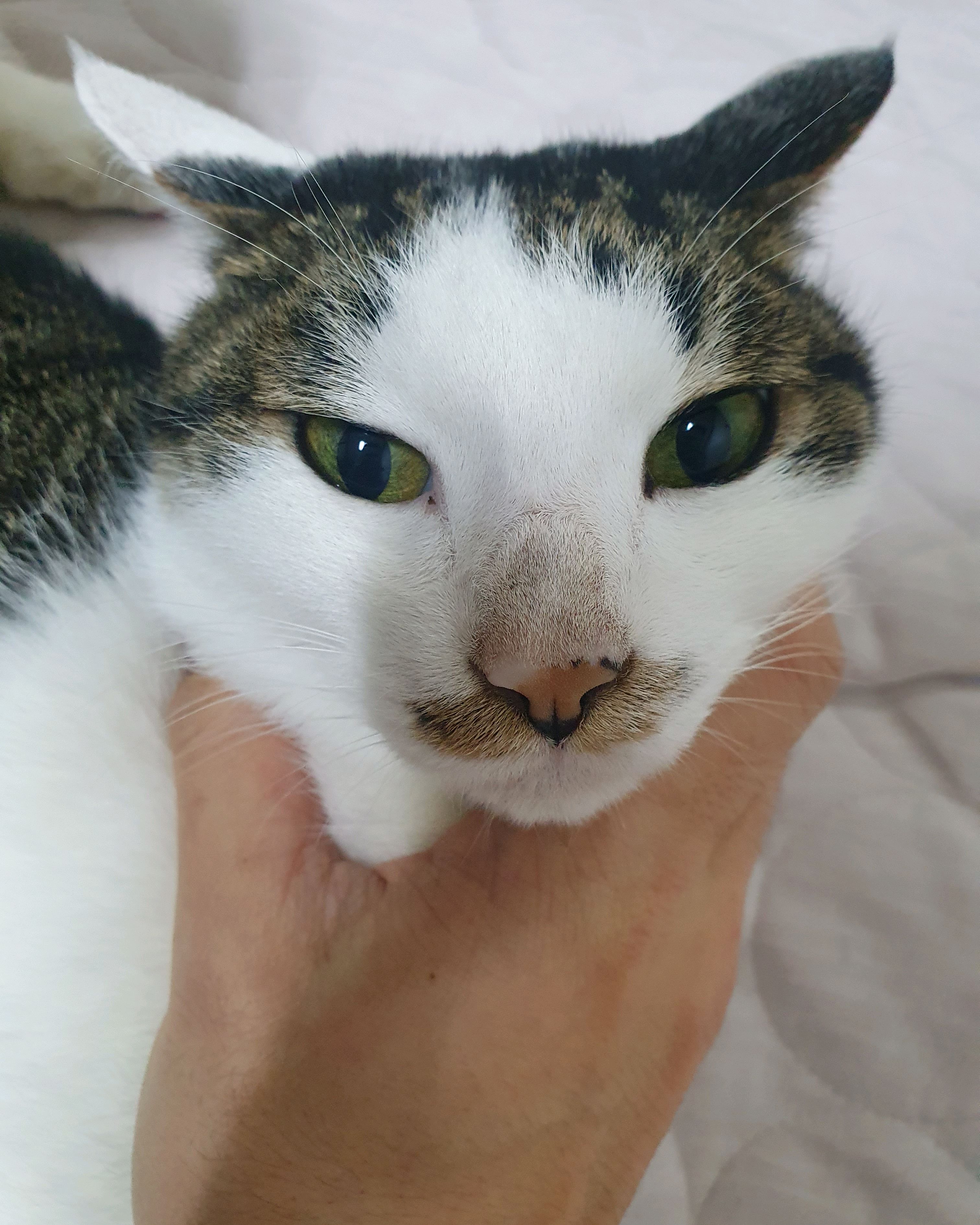 리뷰 사진 2