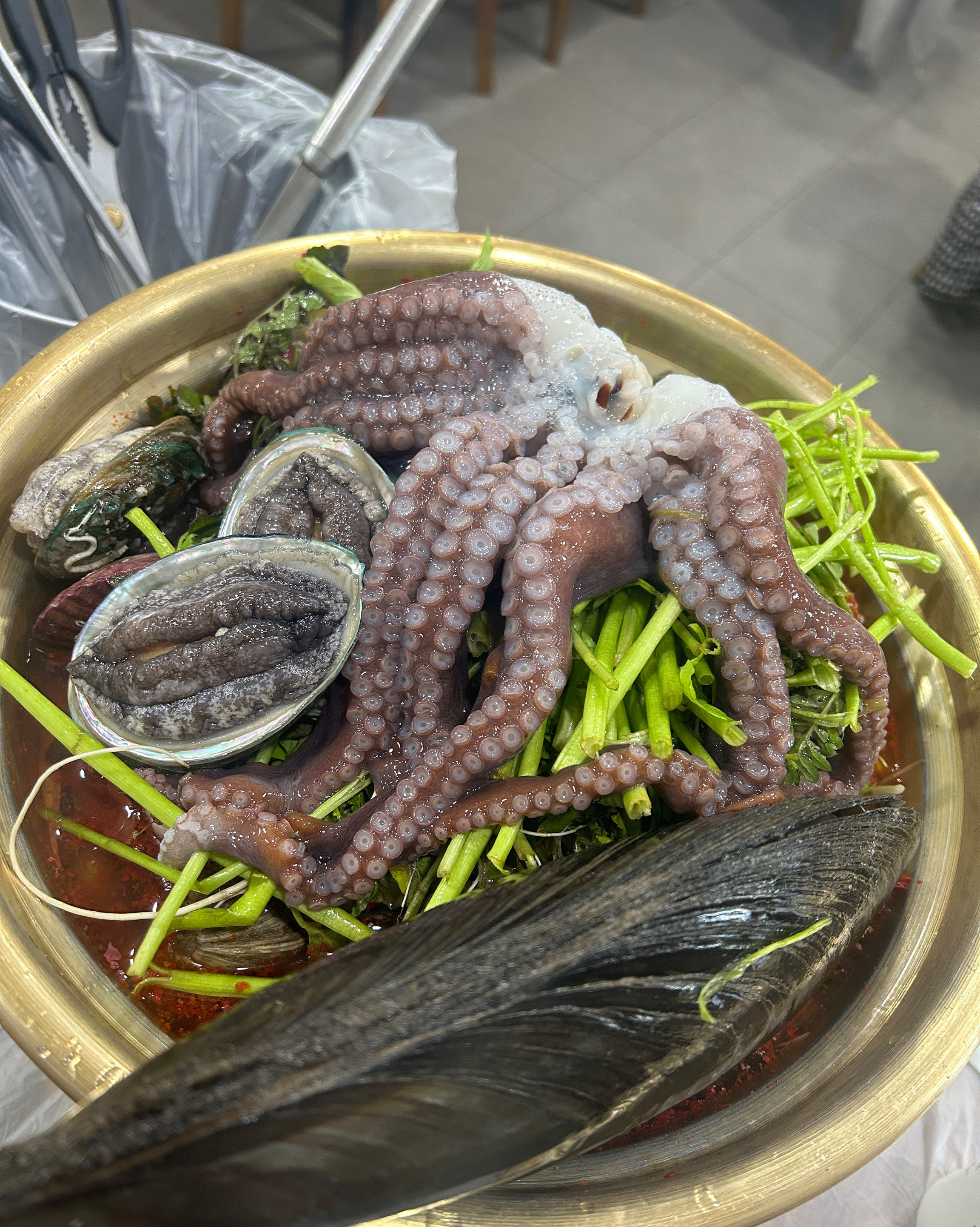 [삼척 맛집 대진식당] 직접 가본 로컬 리뷰