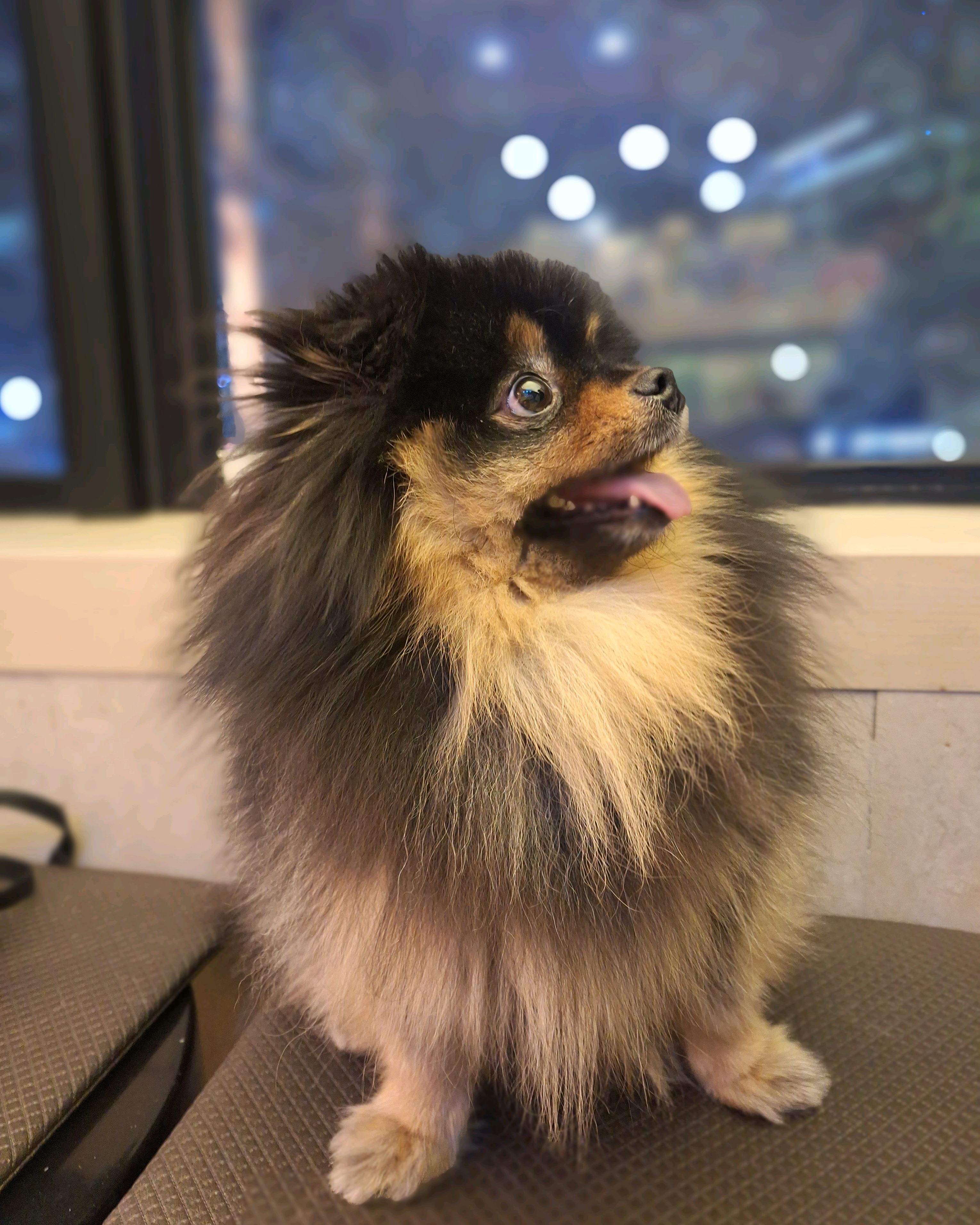리뷰 사진 1