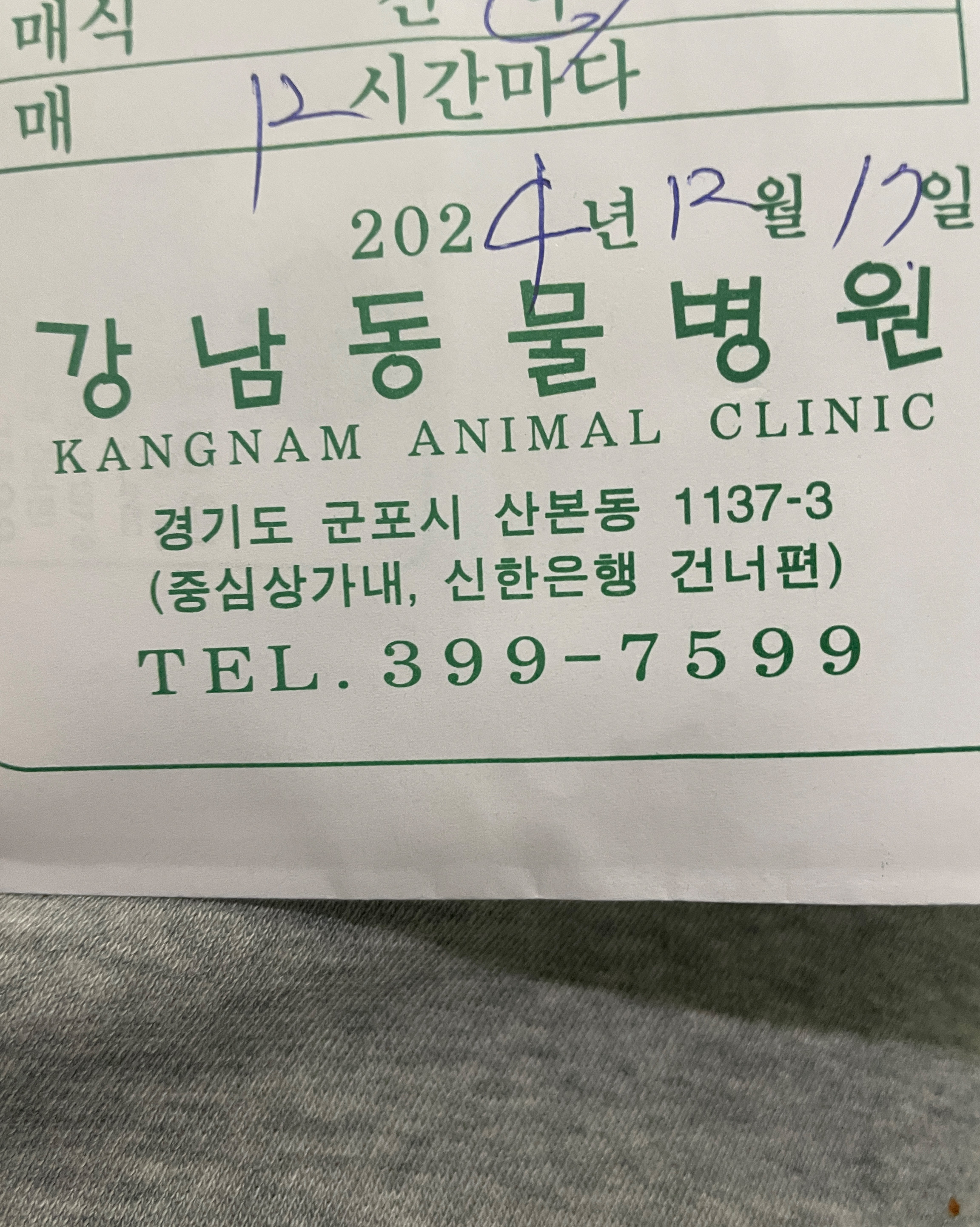 강남동물병원 사진 2