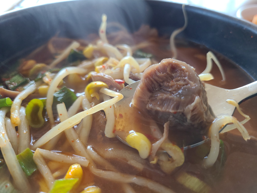 [여수 맛집 메밀빛 초계국수막국수양평해장국 돌산본점] 직접 가본 로컬 리뷰