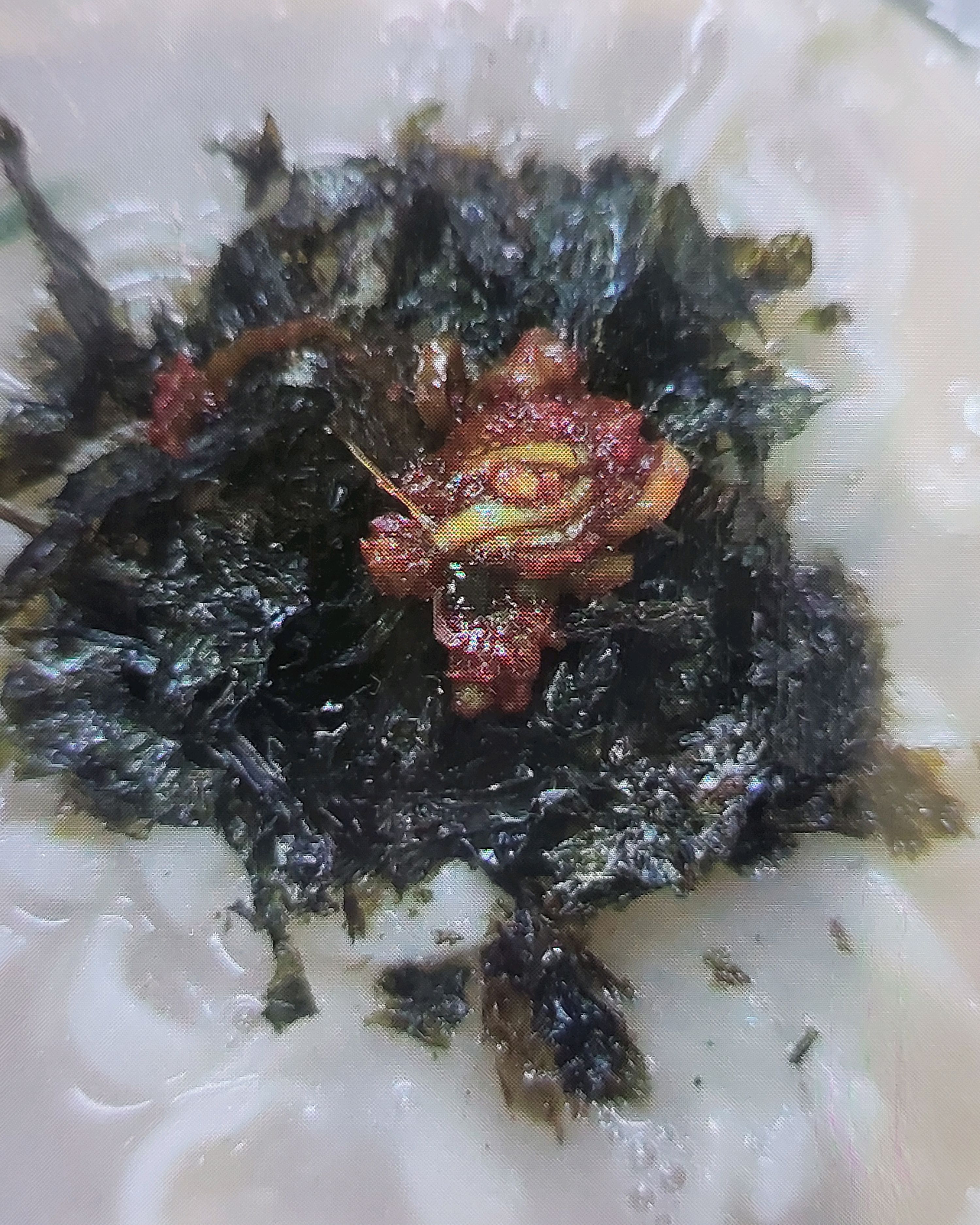 
개롱역식당 프라자손칼국수