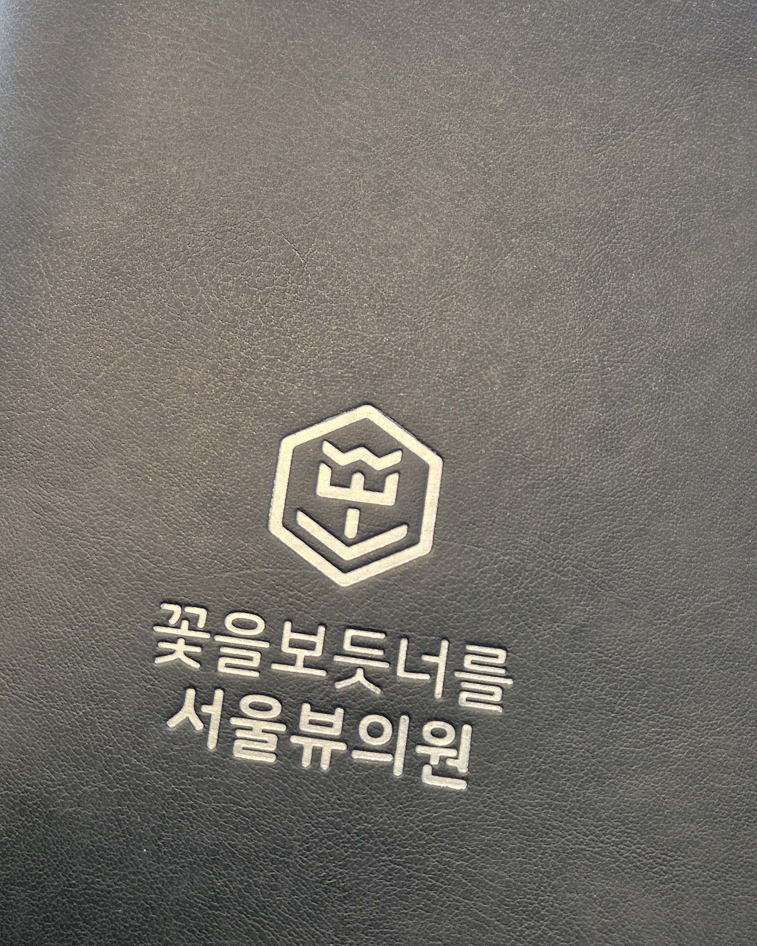 서울뷰의원 청주