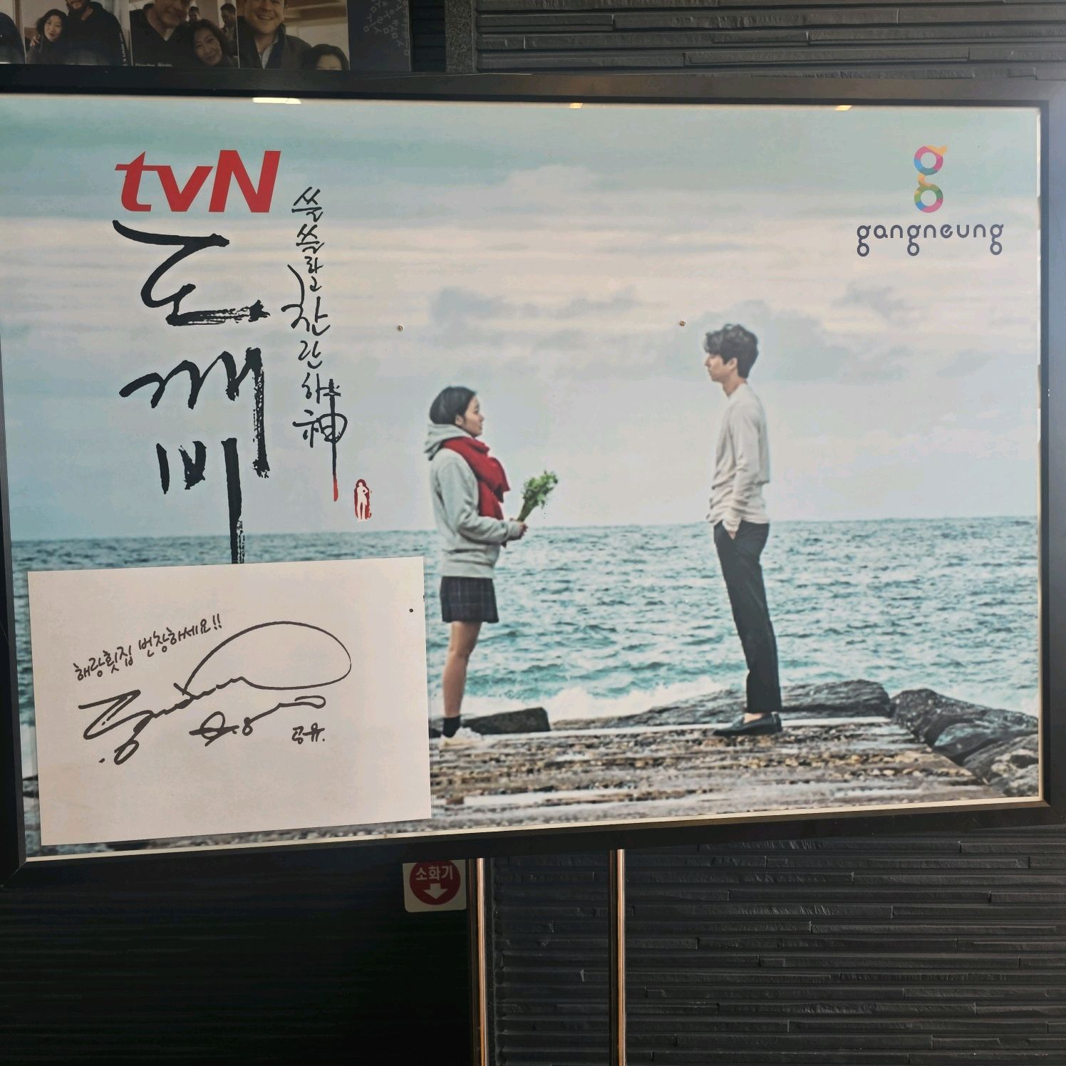 [강릉 맛집 해랑대게횟집] 직접 가본 로컬 리뷰