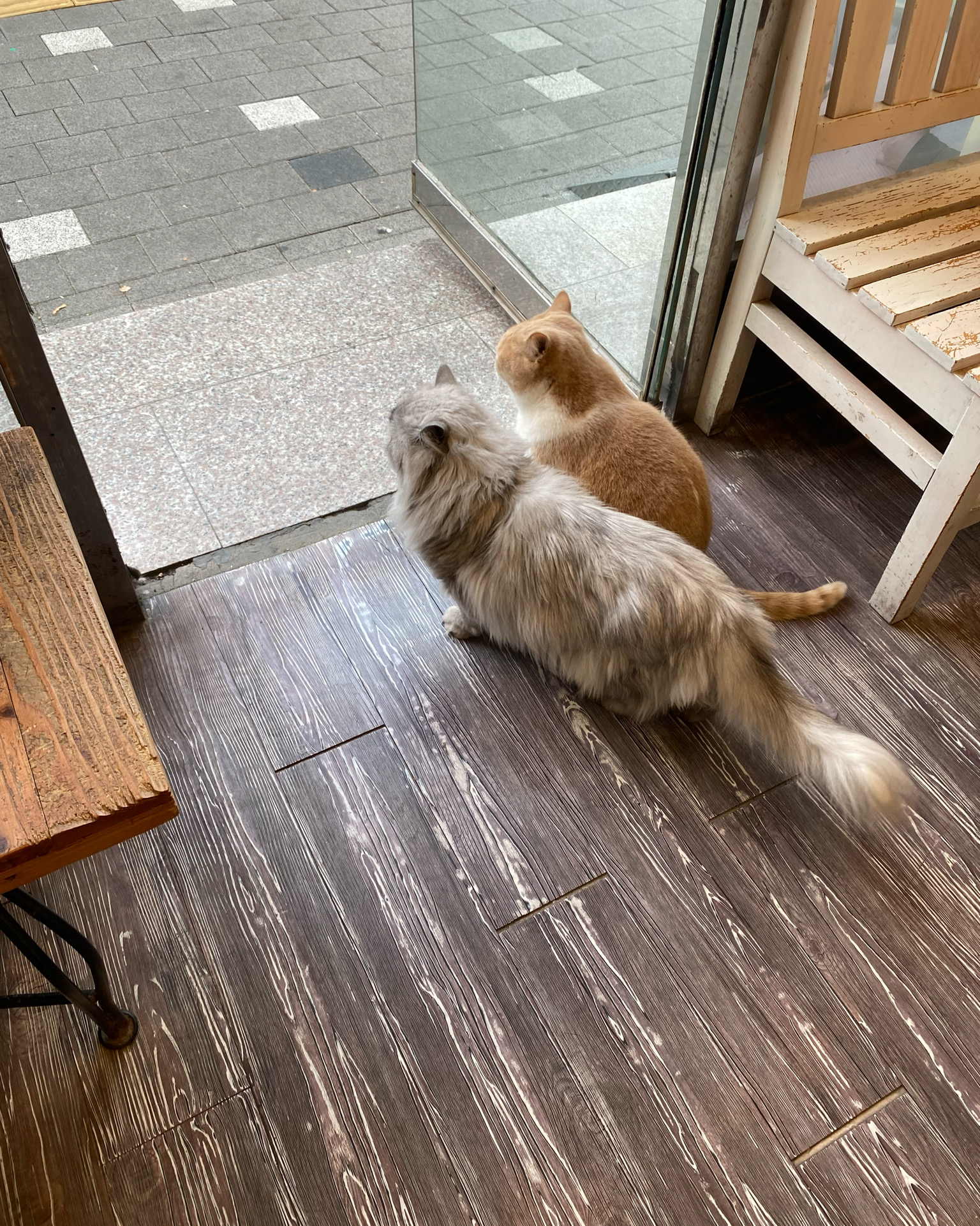 리뷰 사진 1