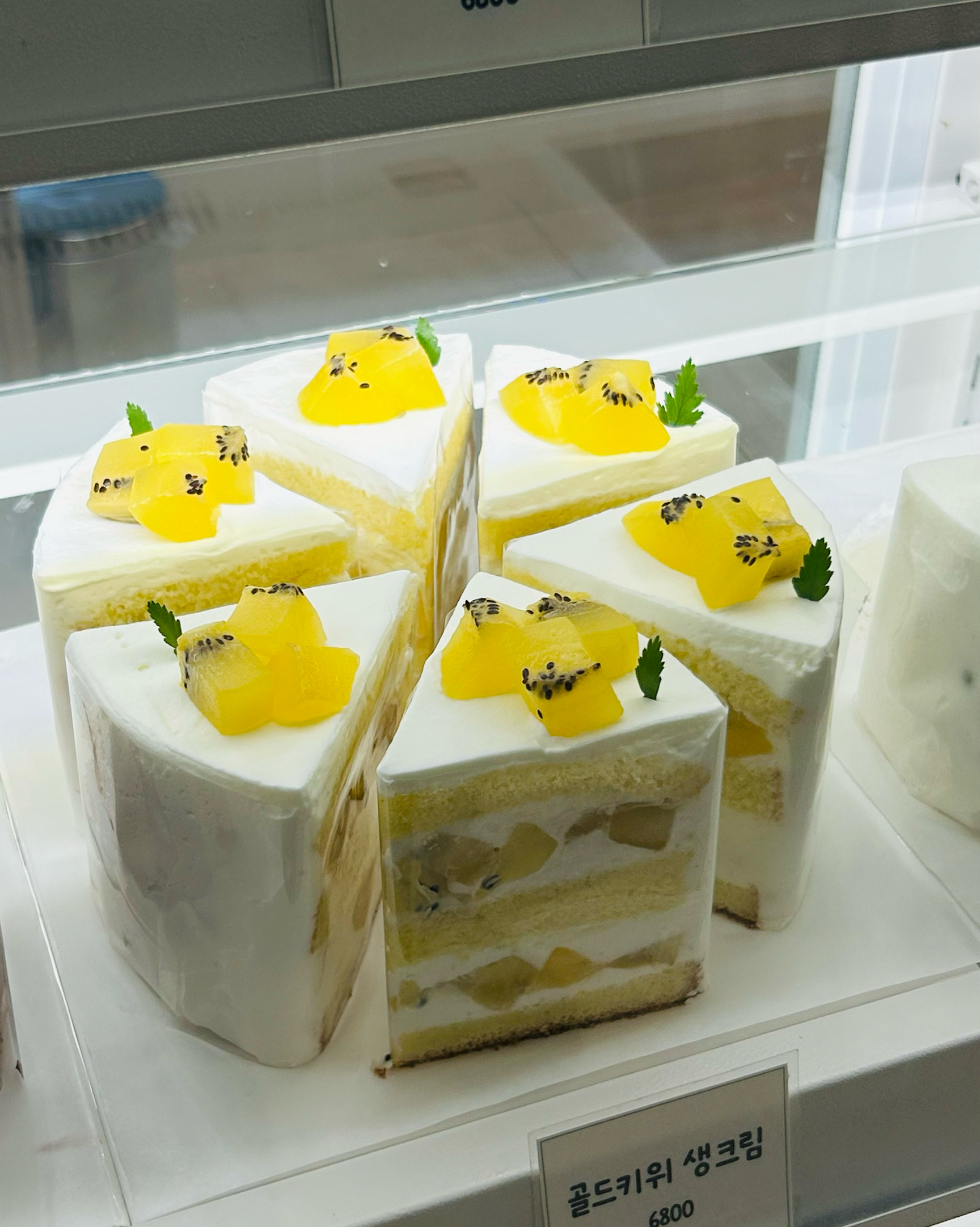 [춘천 맛집 공감] 직접 가본 로컬 리뷰