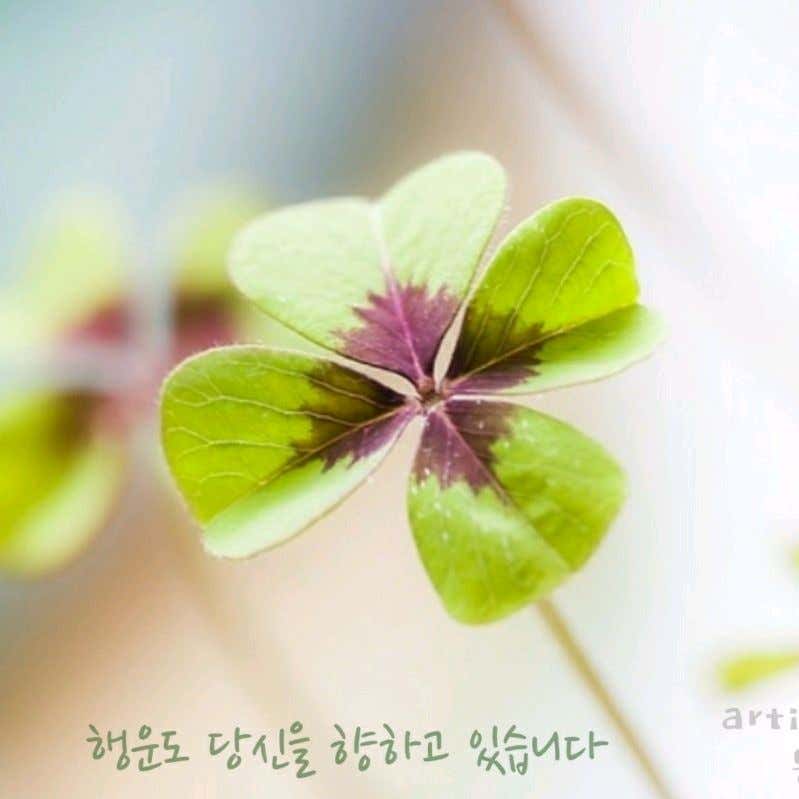 정희석내과의원