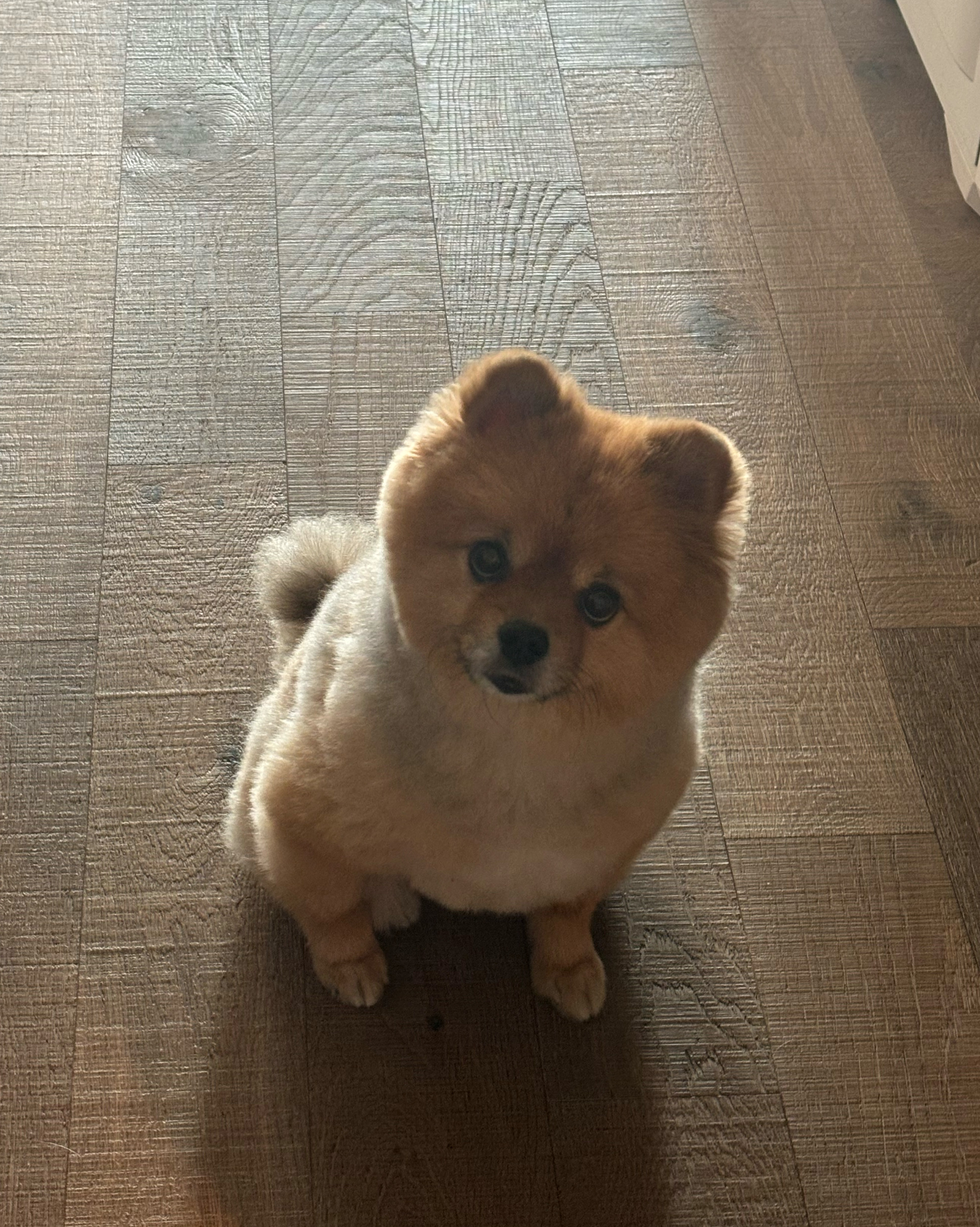 리뷰 사진 1