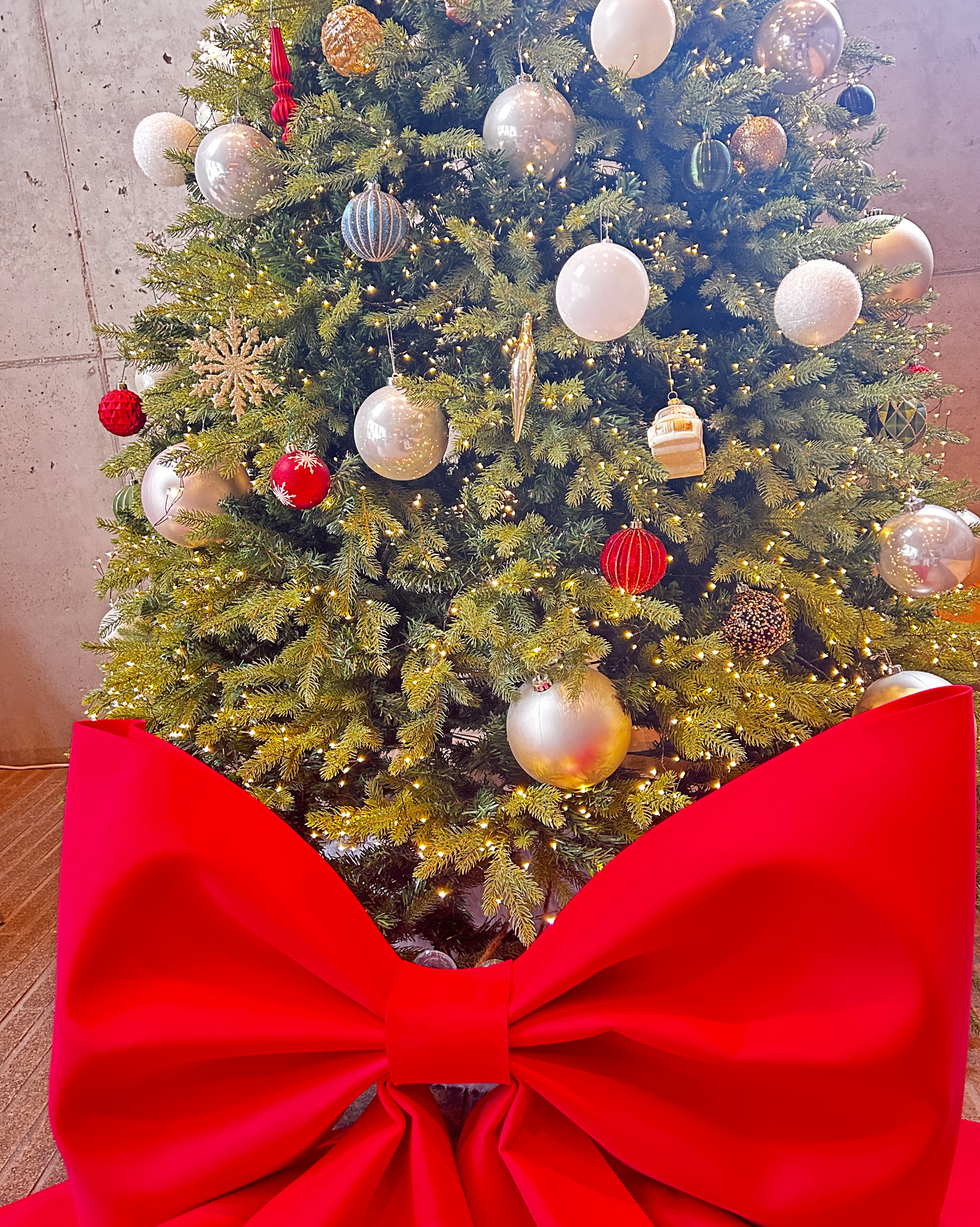 분위기 좋은 돼요? - 대전 맛집 공간태리