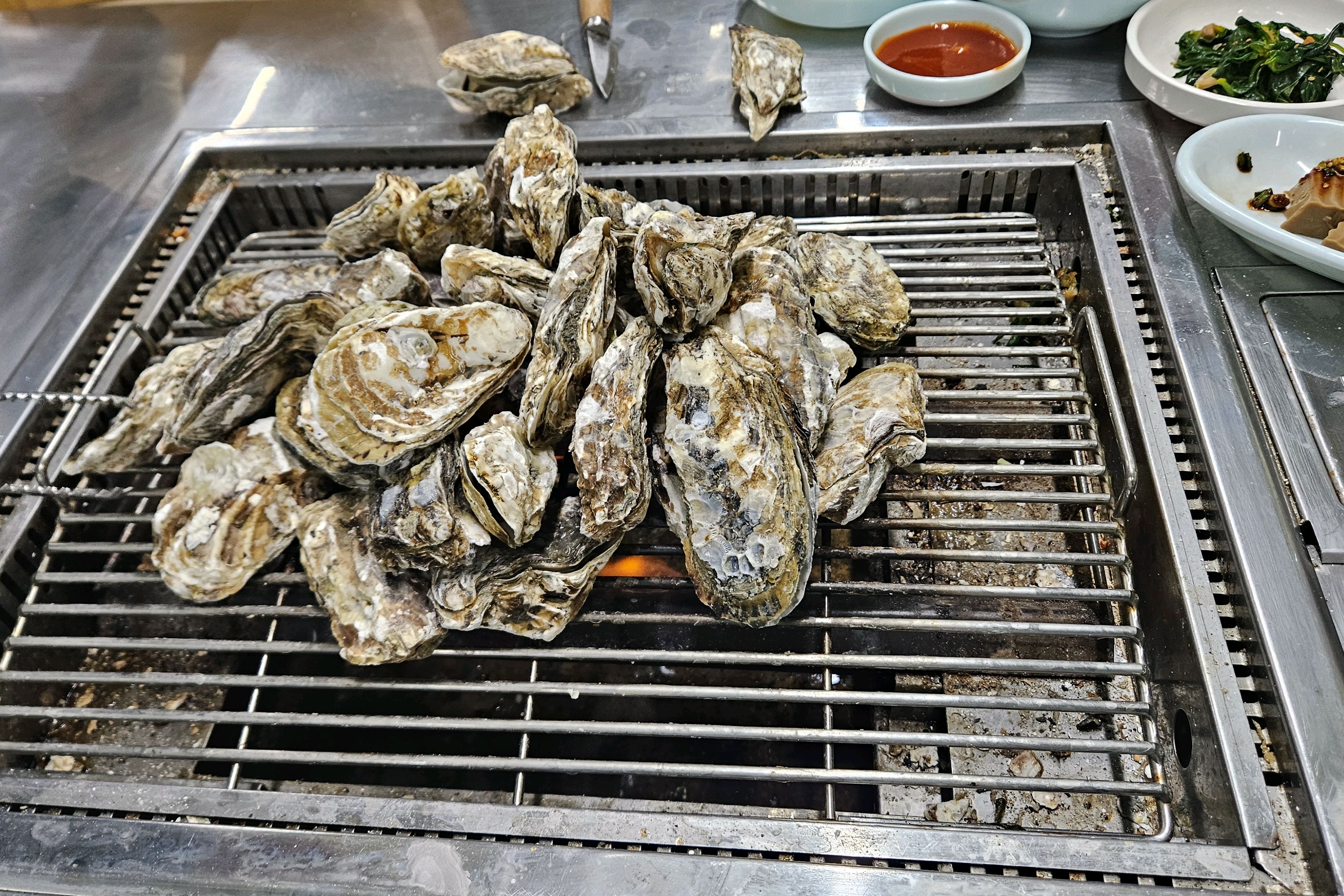 [여수 맛집 순애네 굴구이] 직접 가본 로컬 리뷰