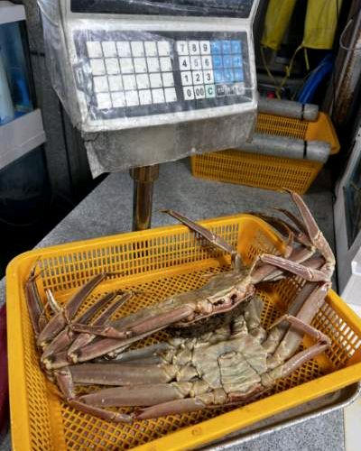 [강릉 맛집 해동대게] 직접 가본 로컬 리뷰