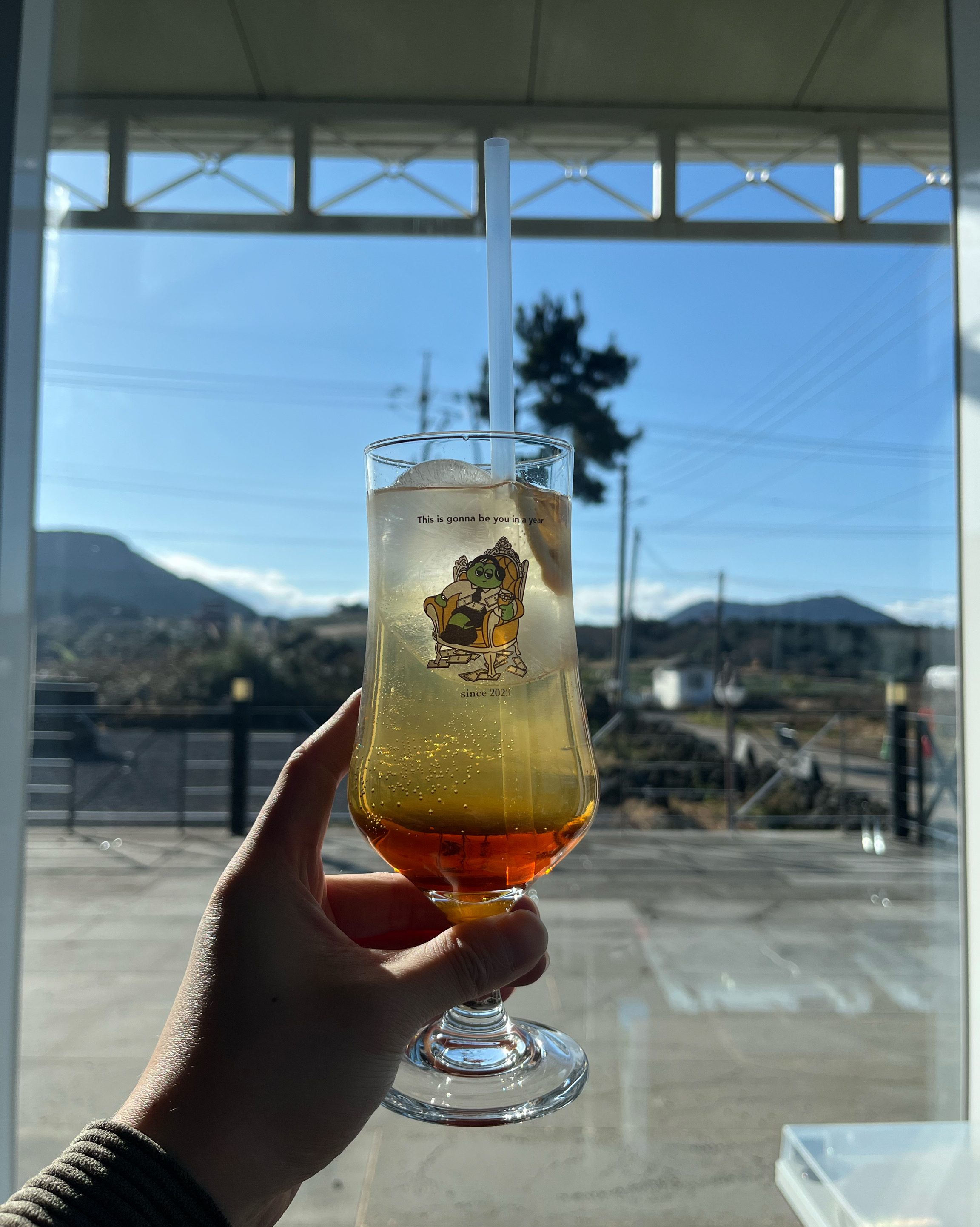 한라산도 잘 보이고 lp도 많아 다양하게 볼수있어 좋아요 - 제주 맛집 로미뮤직하우스