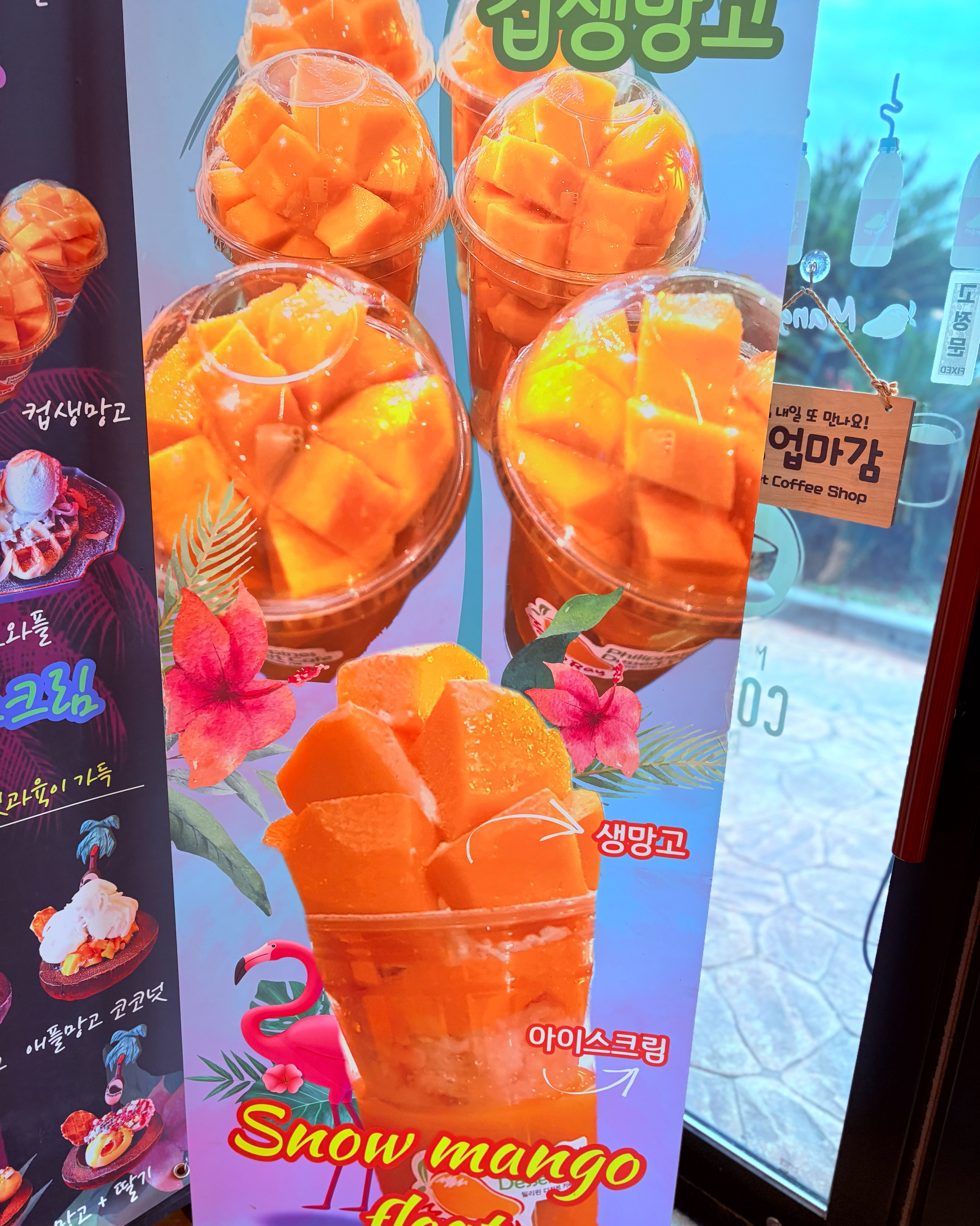 [애월 맛집 망고레이 본점] 직접 가본 로컬 리뷰