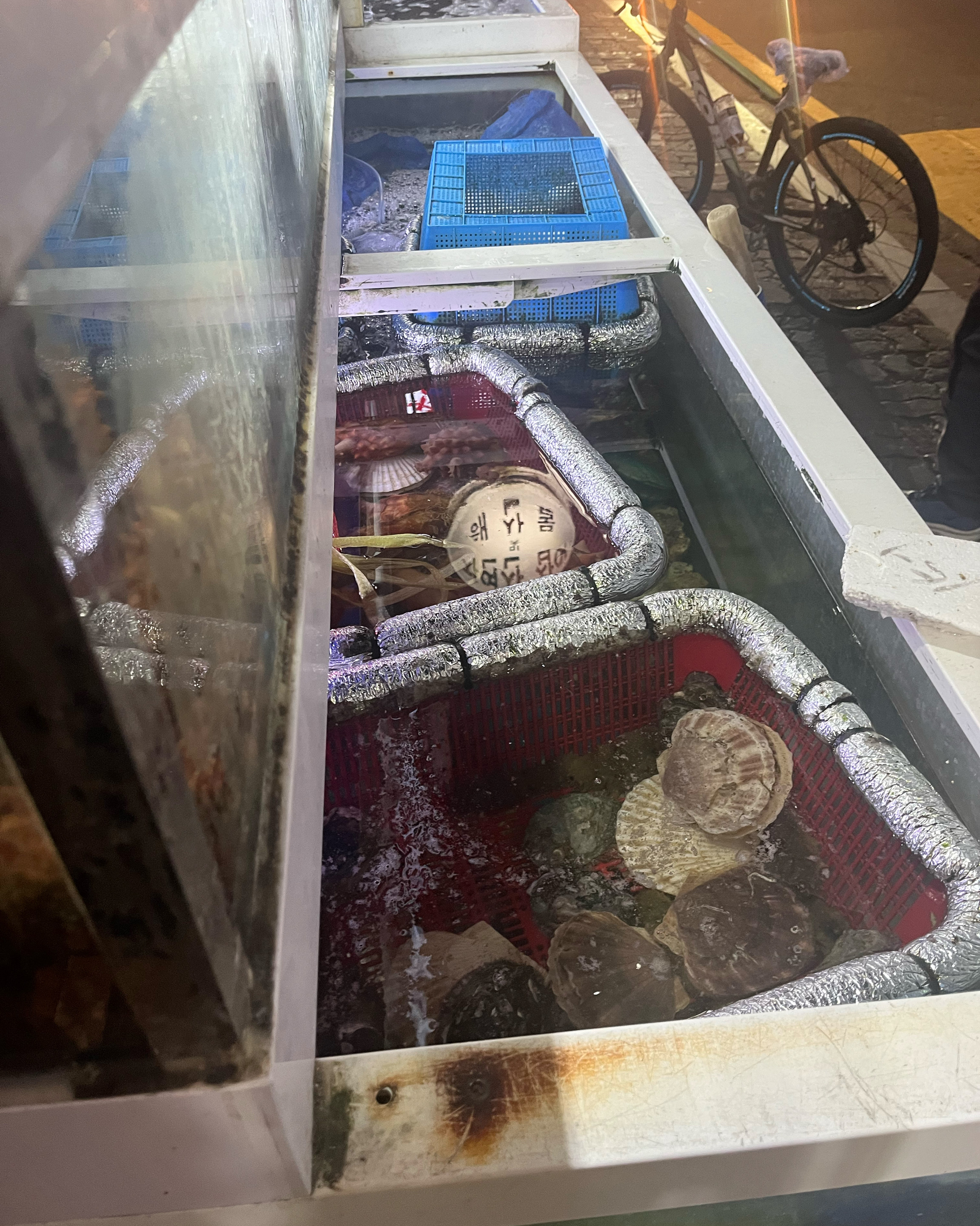 미금역 맛집 울진죽변항 내돈내산 방문리뷰