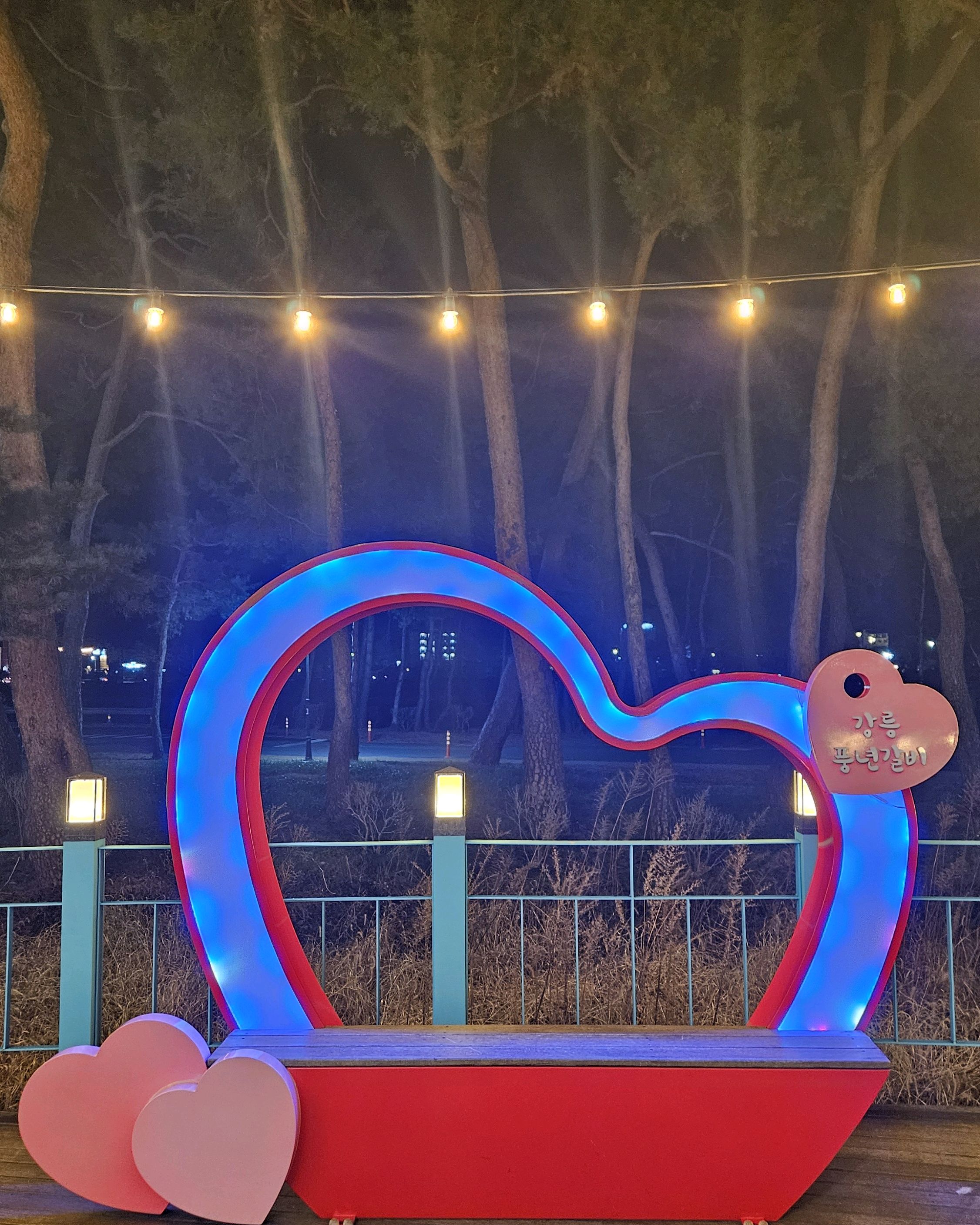 [강릉 맛집 강릉풍년갈비] 직접 가본 로컬 리뷰