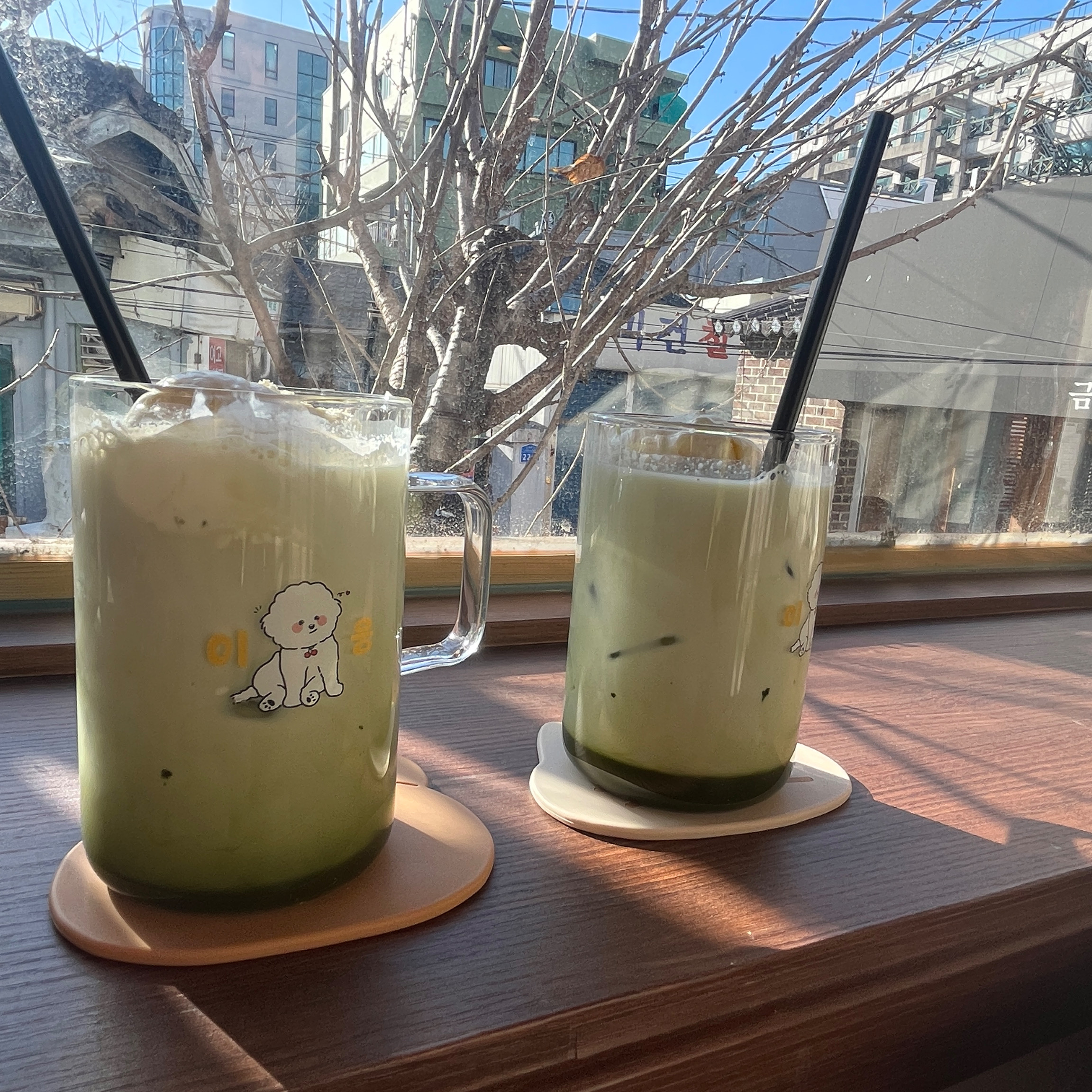 [강릉 맛집 이응] 직접 가본 로컬 리뷰