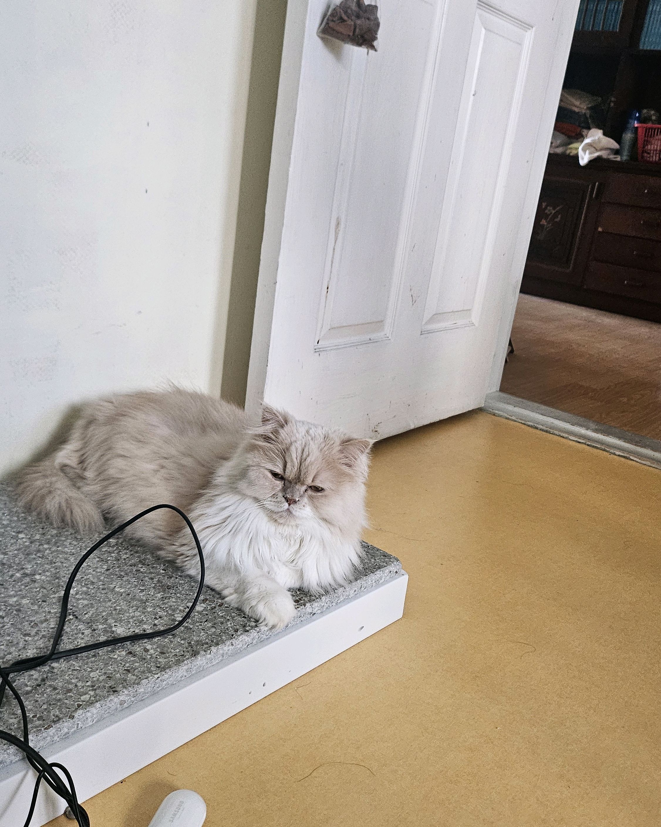 리뷰 사진 1