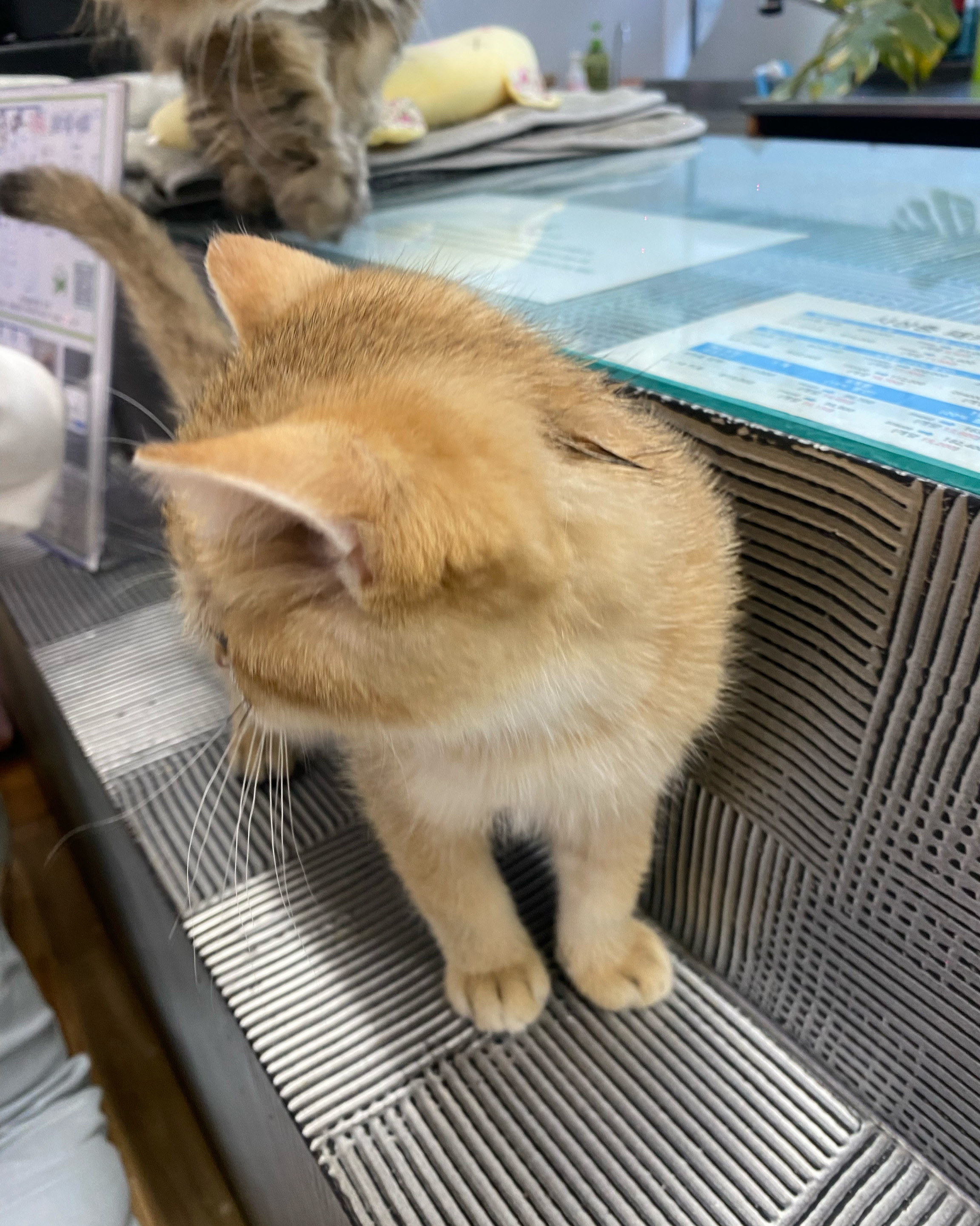 리뷰 사진 1