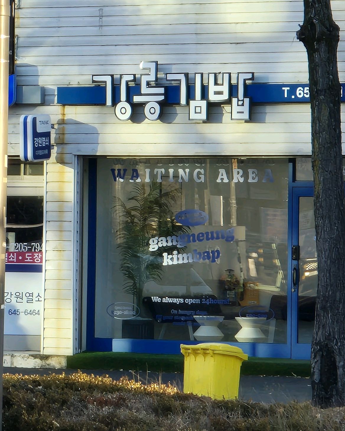 [강릉 맛집 강릉김밥] 직접 가본 로컬 리뷰