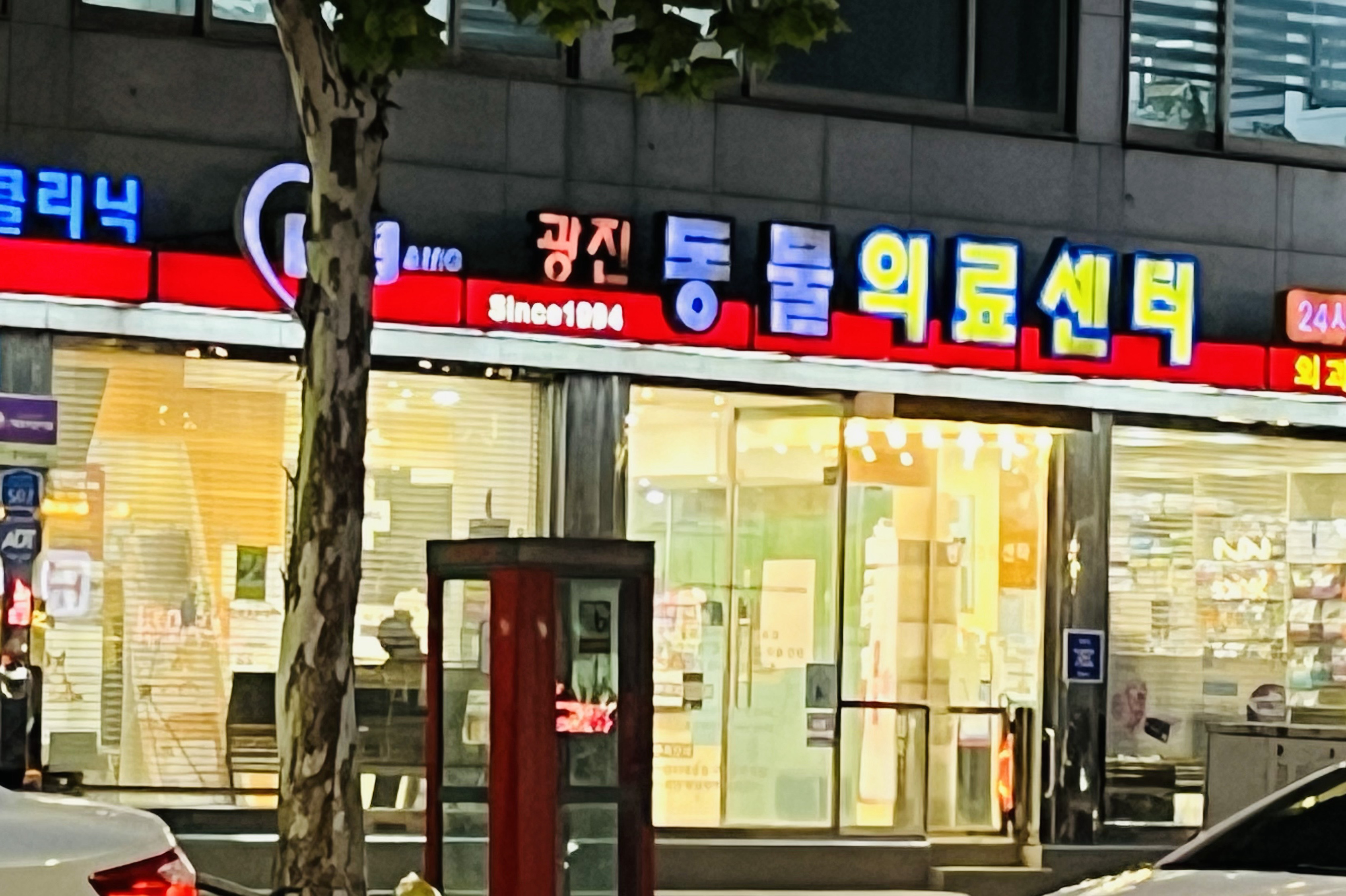 리뷰 사진 1