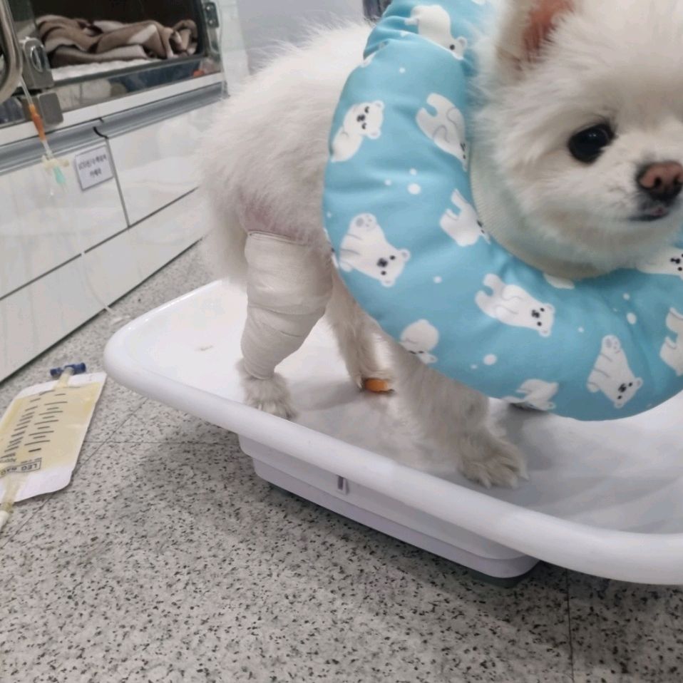 리뷰 사진 1
