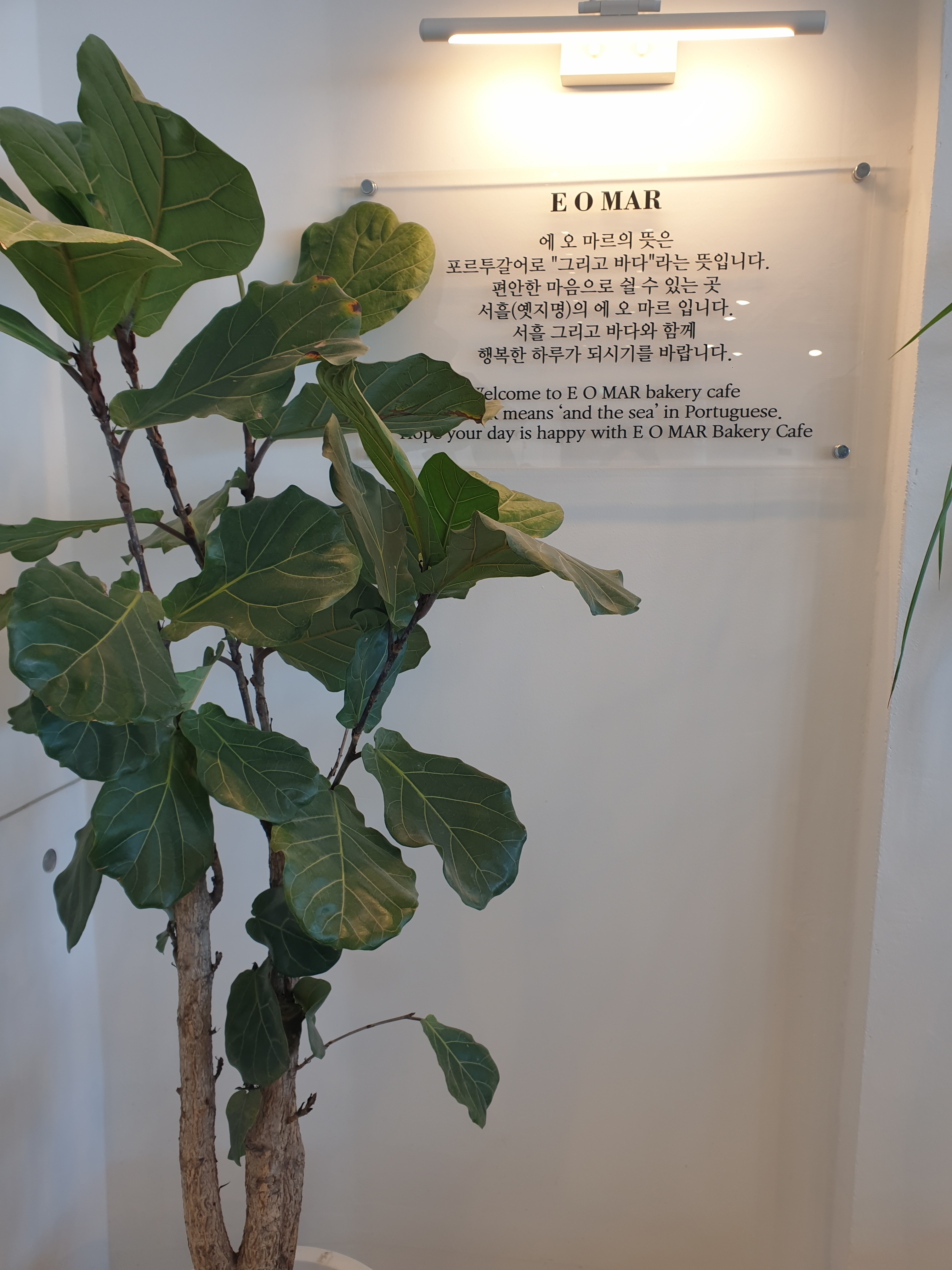 바다가 보이는 까페♡ - 제주 맛집 에오마르