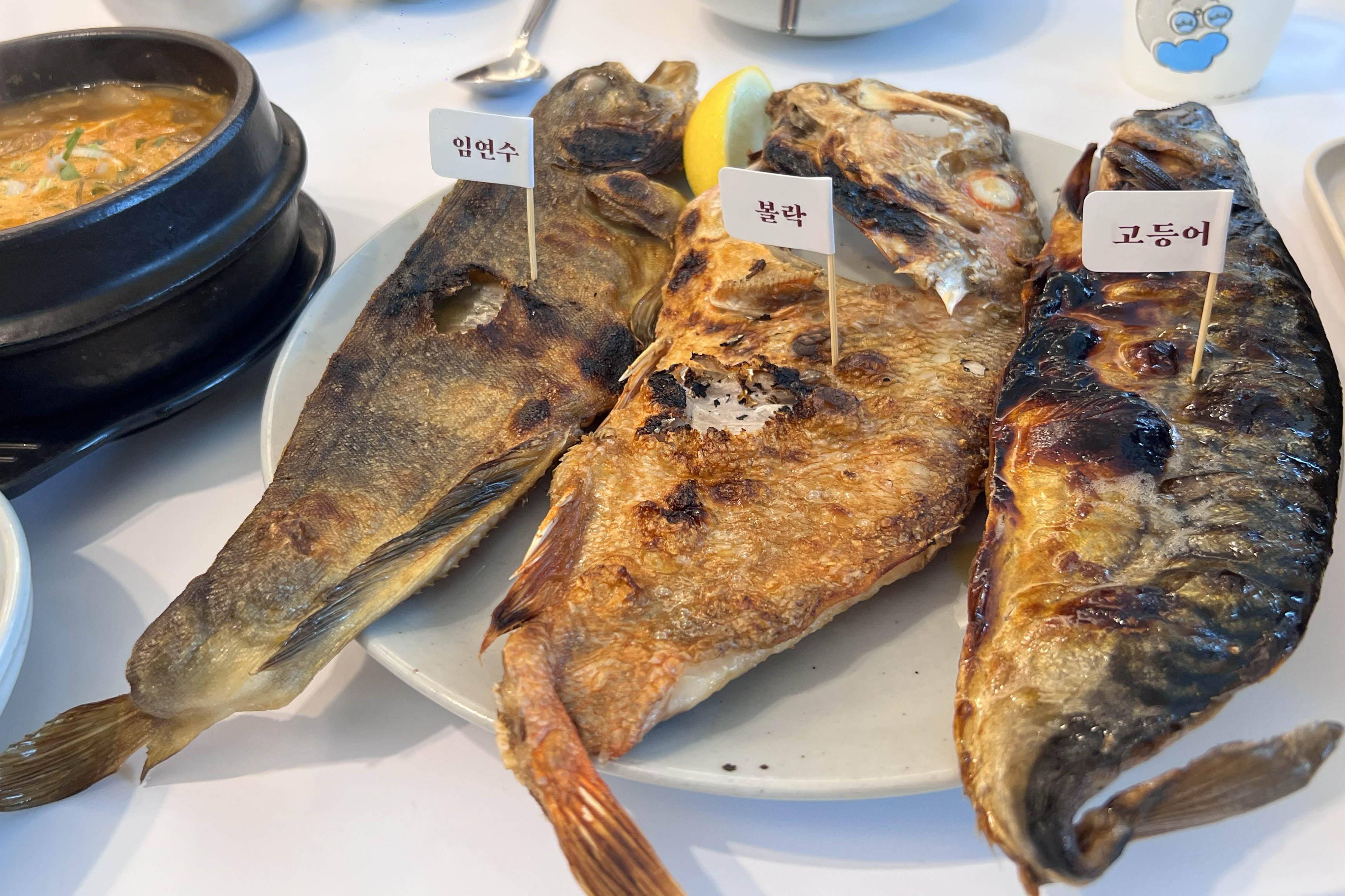 정자역 맛집 생선선생 내돈내산 찐리뷰
